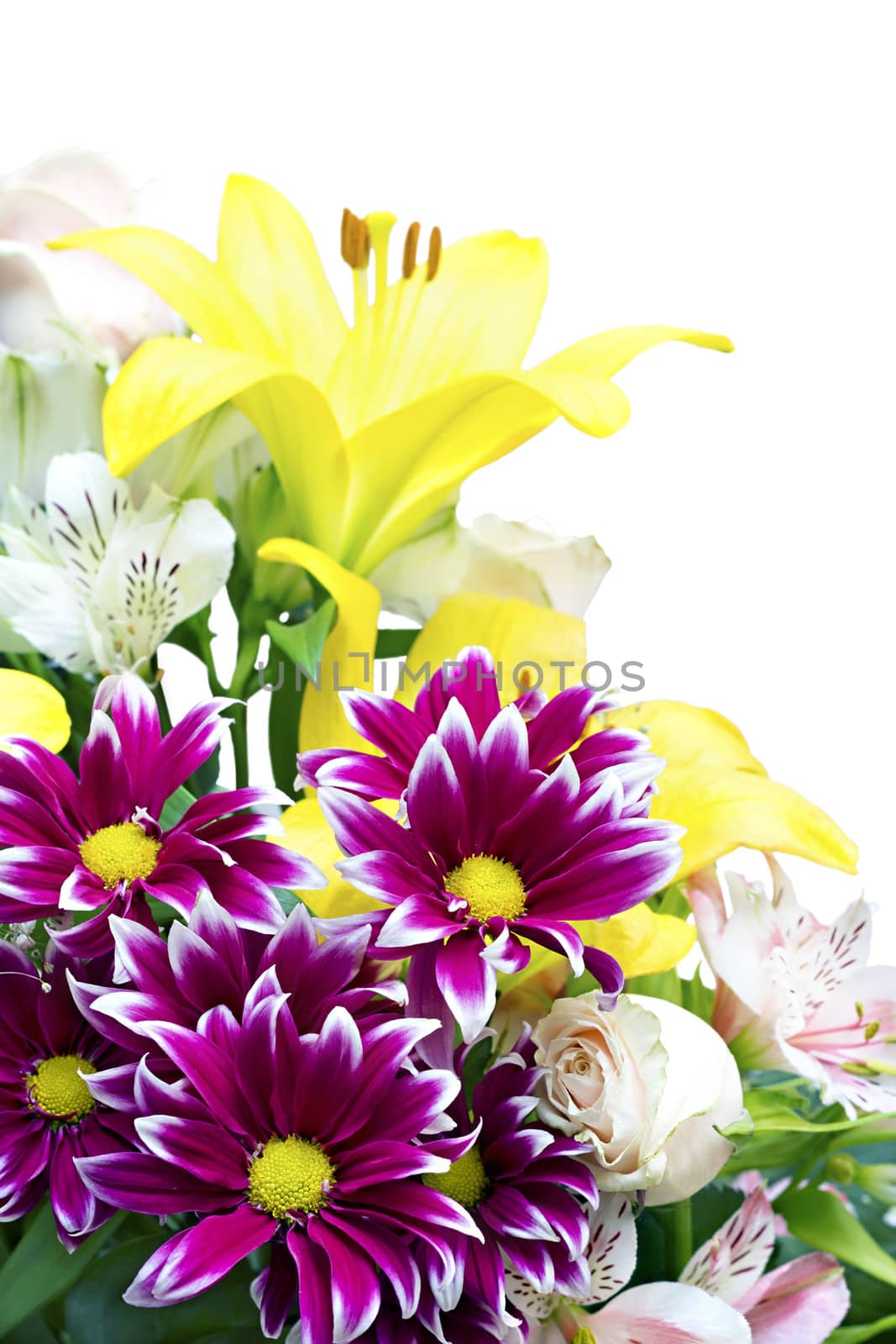 a bouquet of different flowers isolated on white background