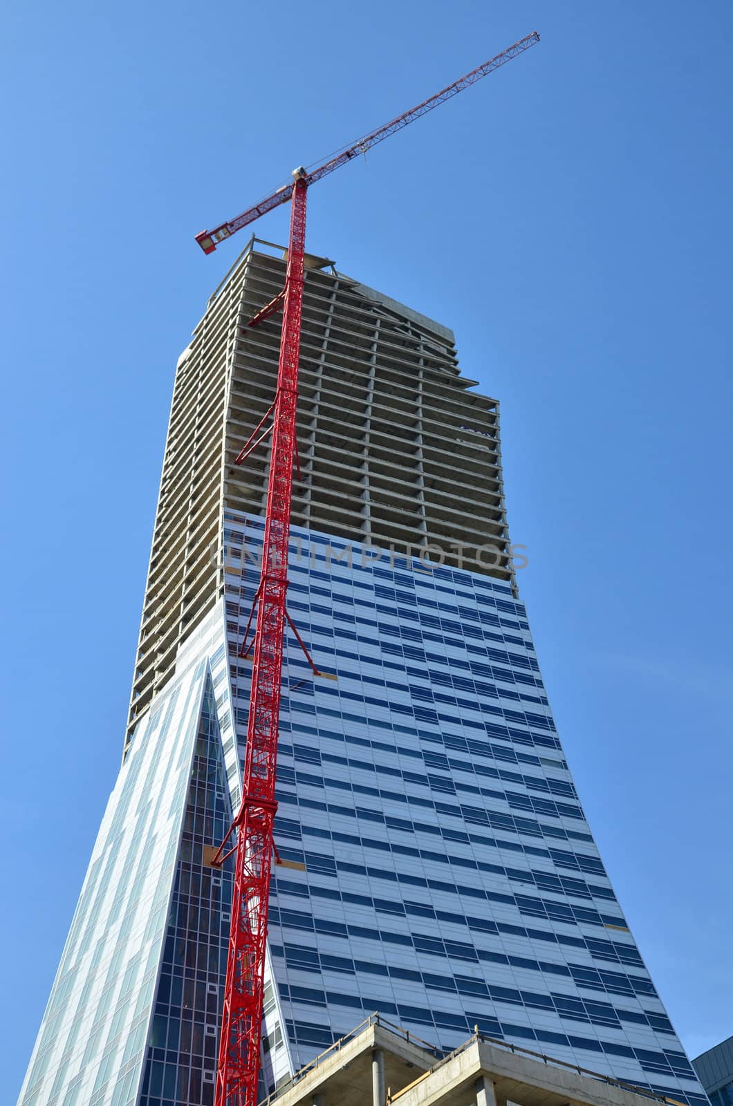 Skyscraper project by Vectorex