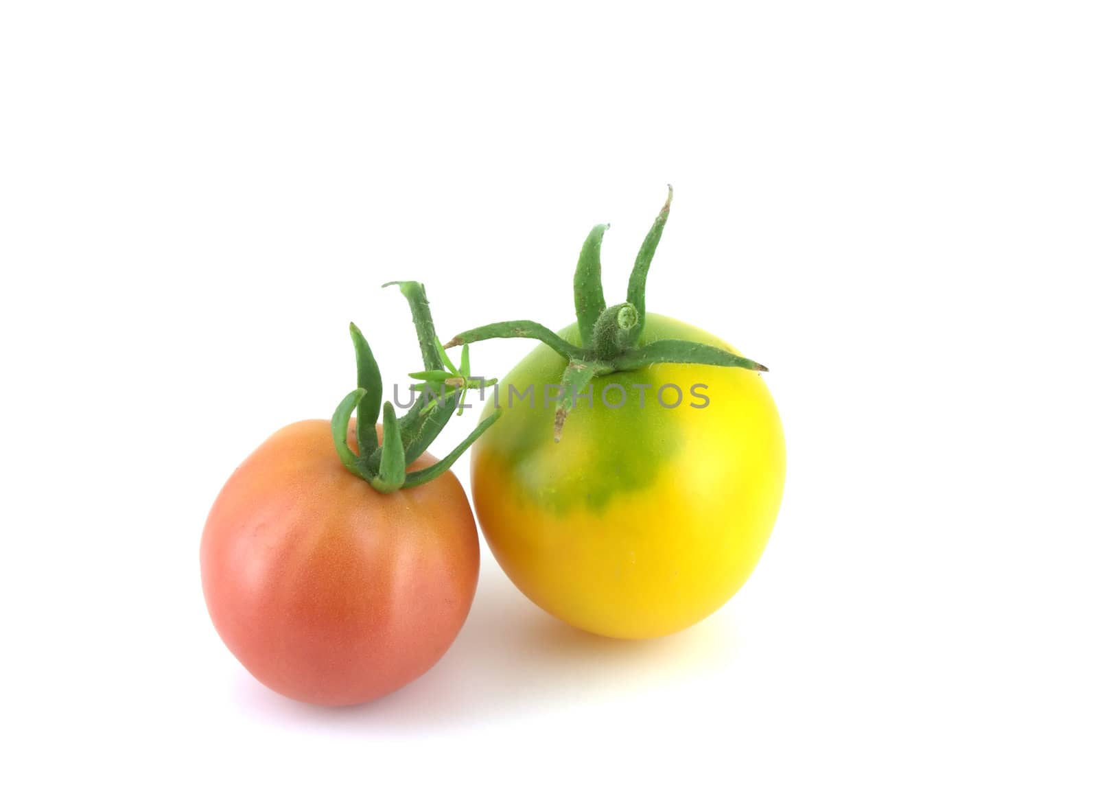 Two tomatoes over white