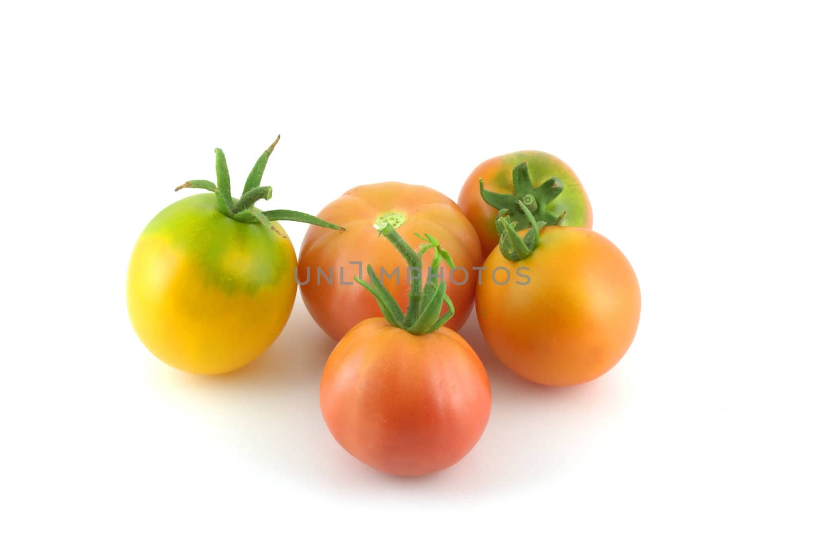 Ripe tomatoes on white background