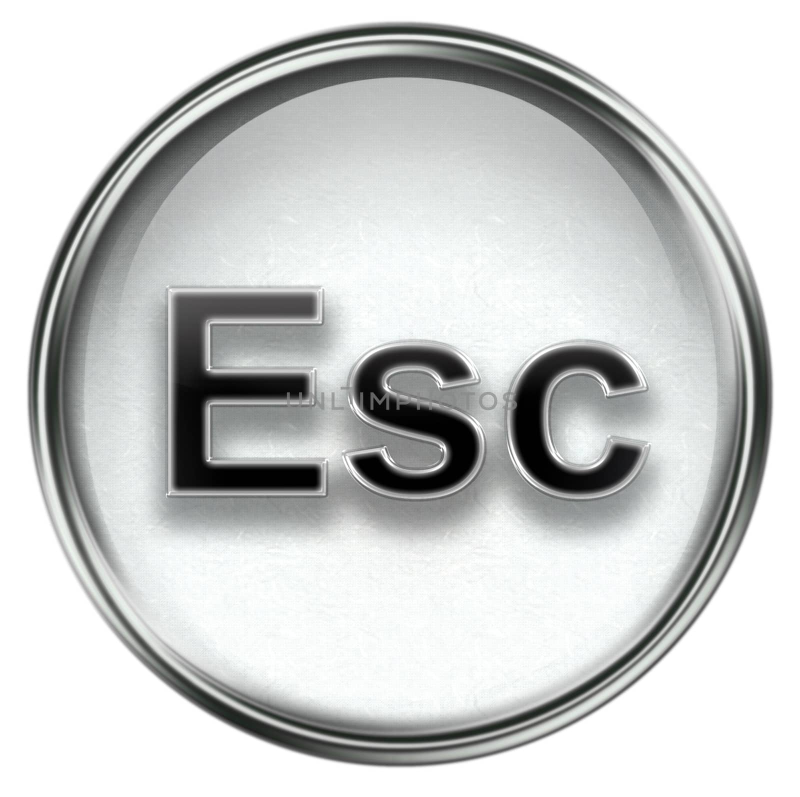 Esc icon grey, isolated on white background