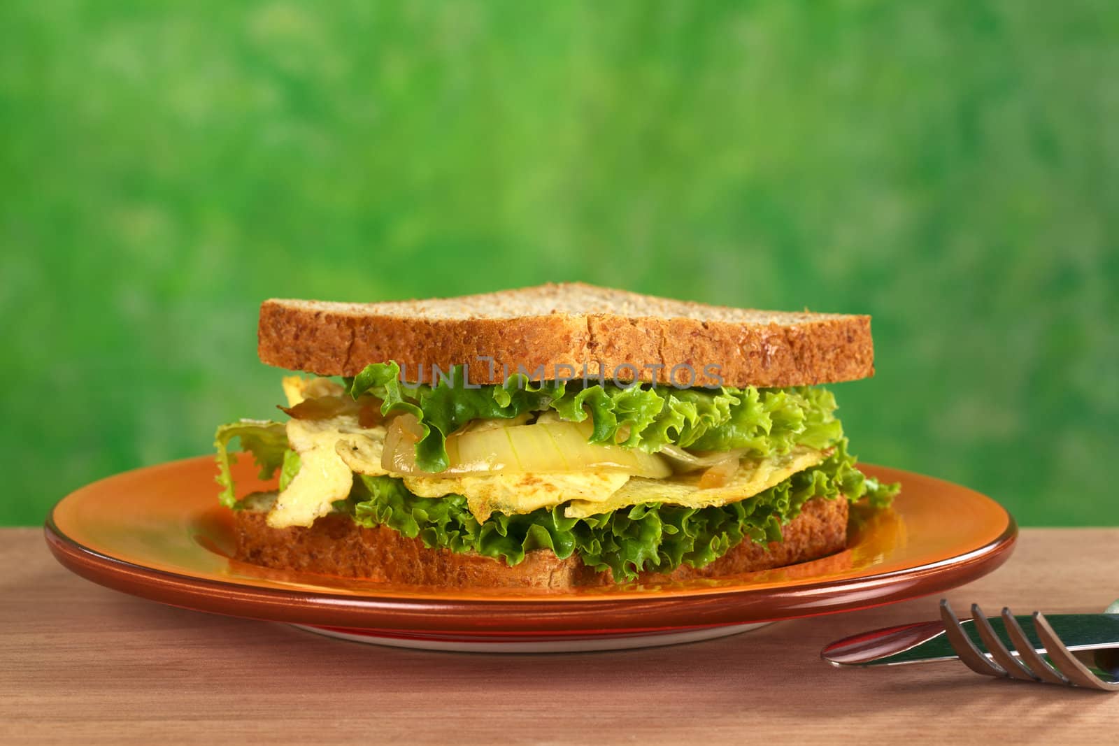 Scrambled eggs sandwich with fried onions and lettuce (Selective Focus, Focus on the front of the sandwich)