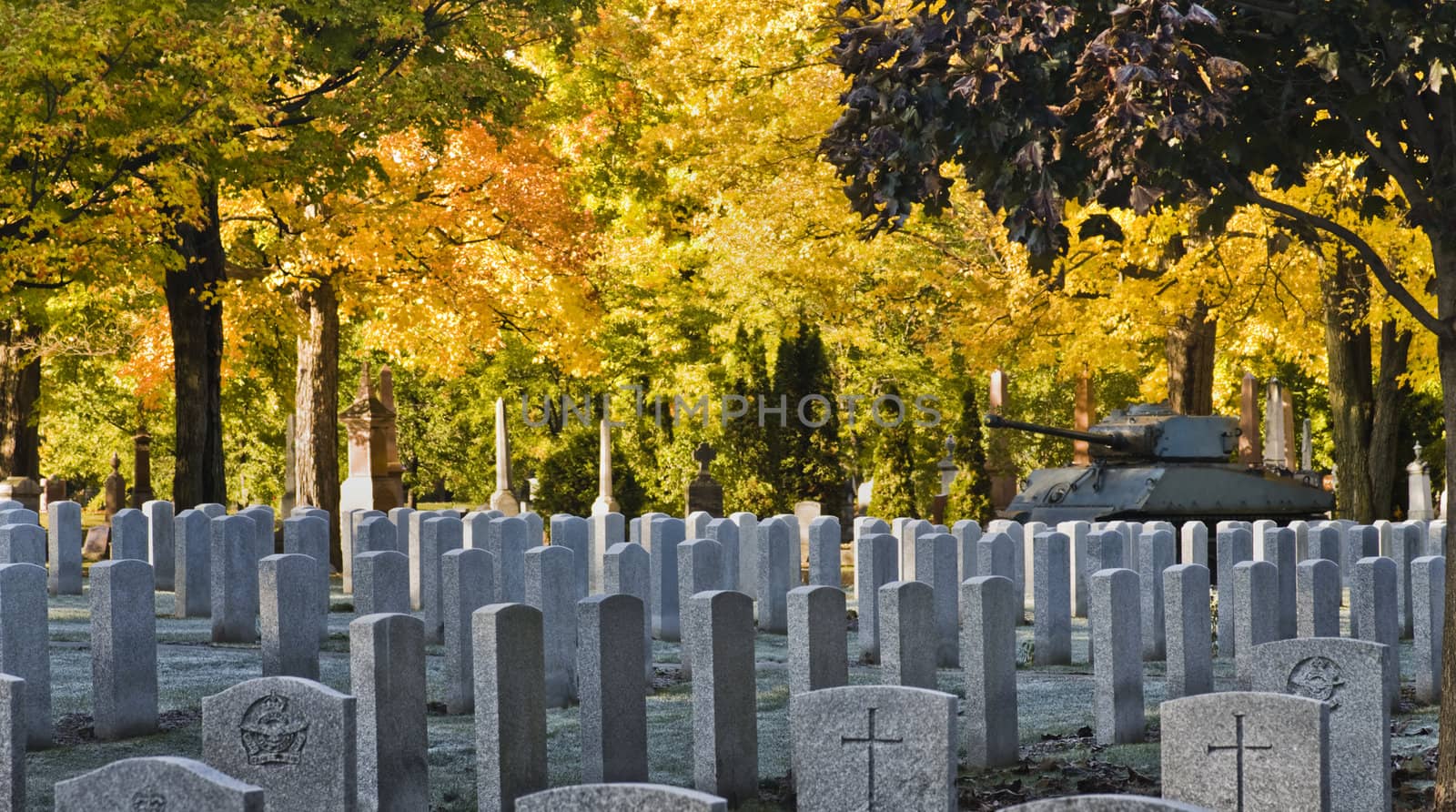 Soldier tombs in cemetery in autumn.