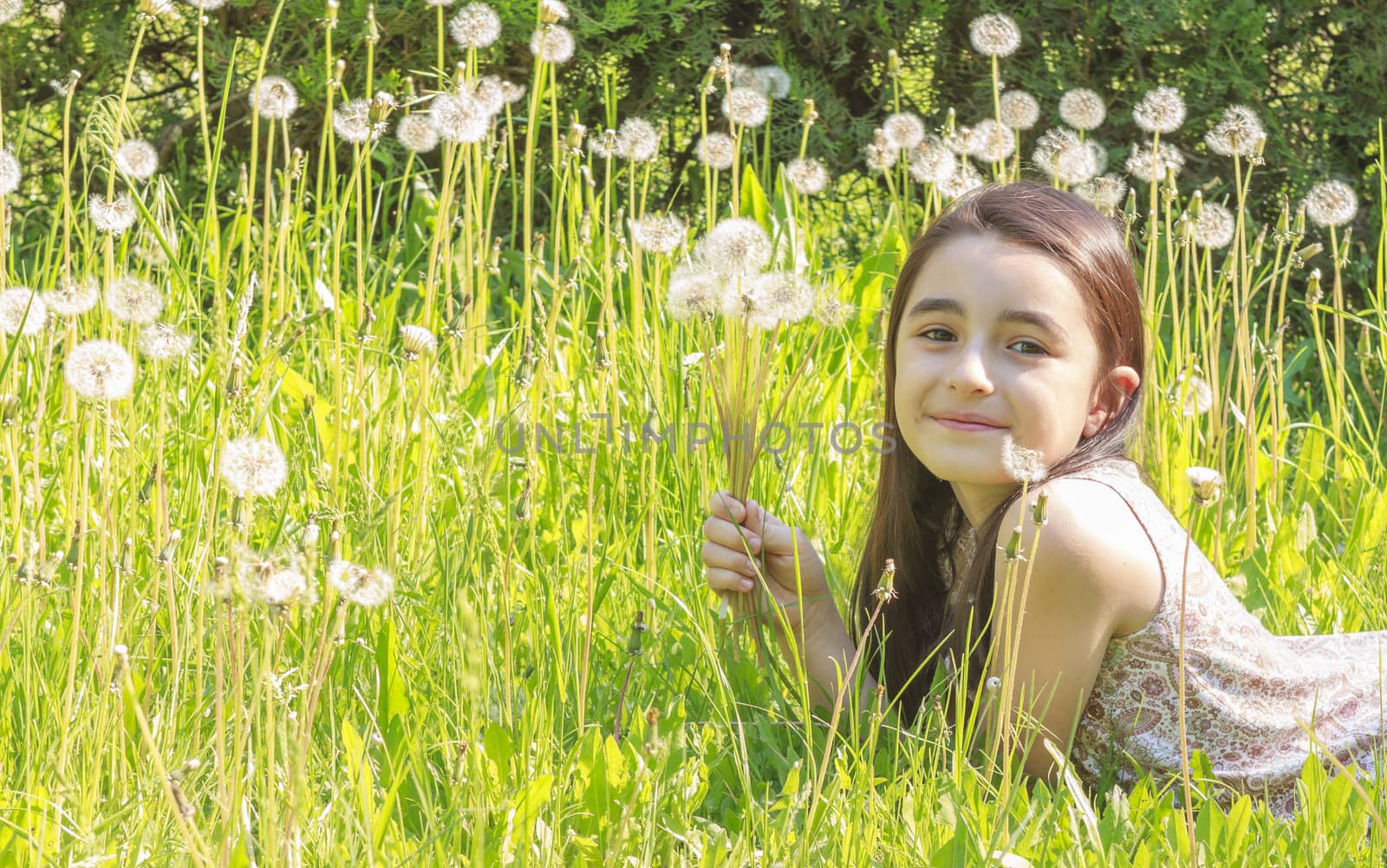 Little girl blowing dandelions, nine at the same time