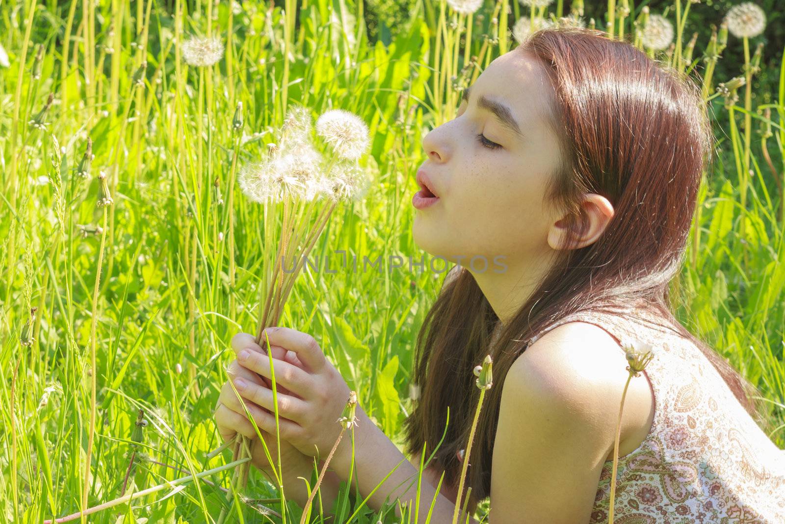 Little Girl Busy Blowing Dandelion Seeds In the Park by manaemedia
