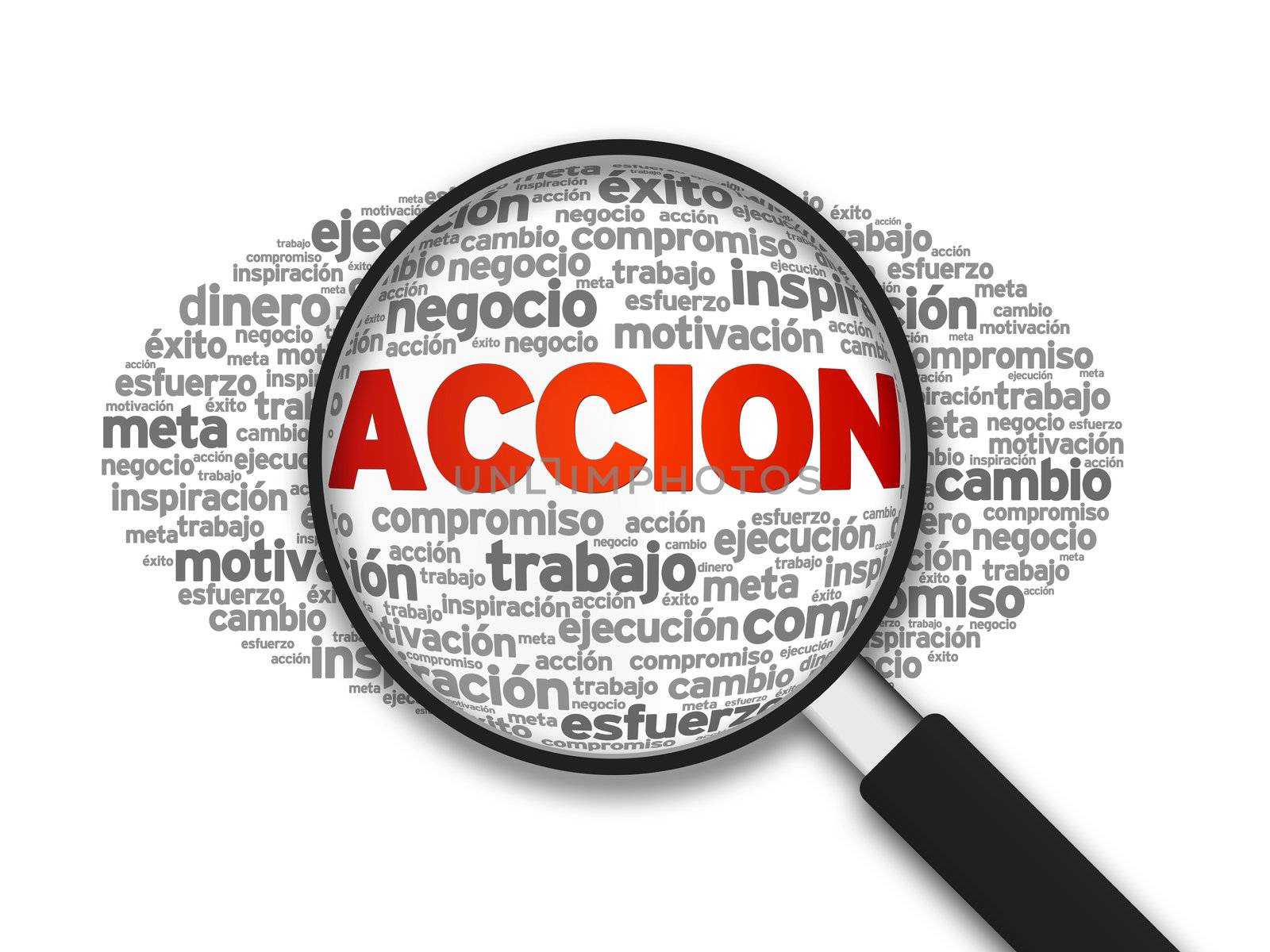 Magnified illustration with the word Accion on white background.