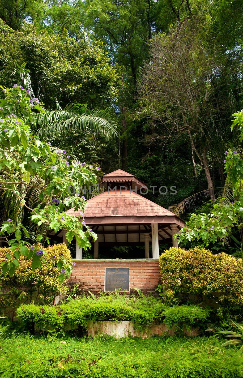 pagoda or rotunda in garden by clearviewstock