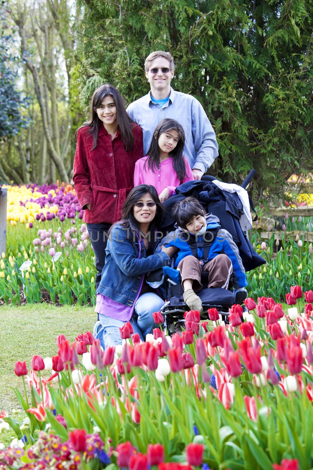 Family with disabled boy in the tulips gardens by jarenwicklund