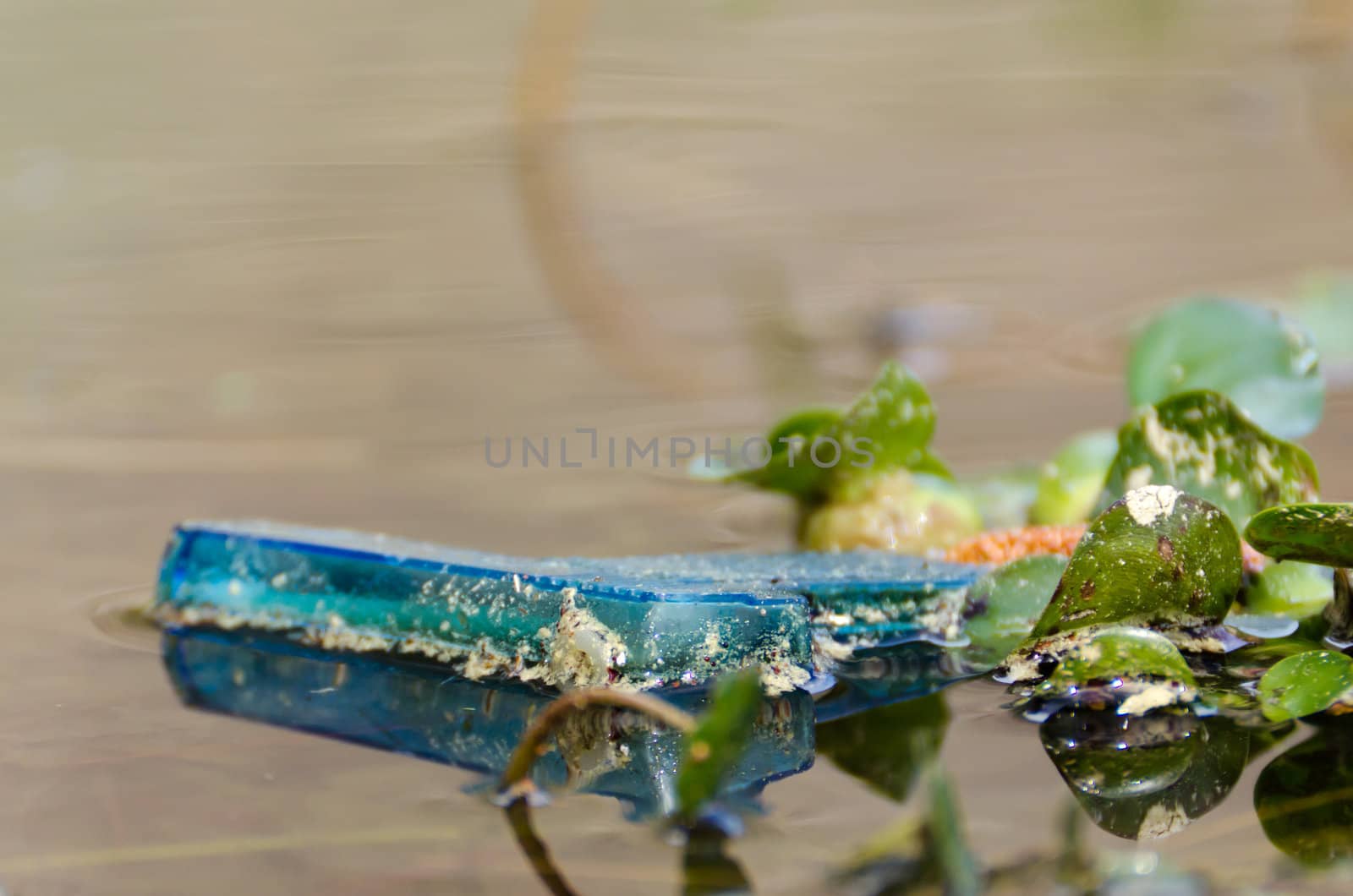 lost squirt gun polluting a small lake