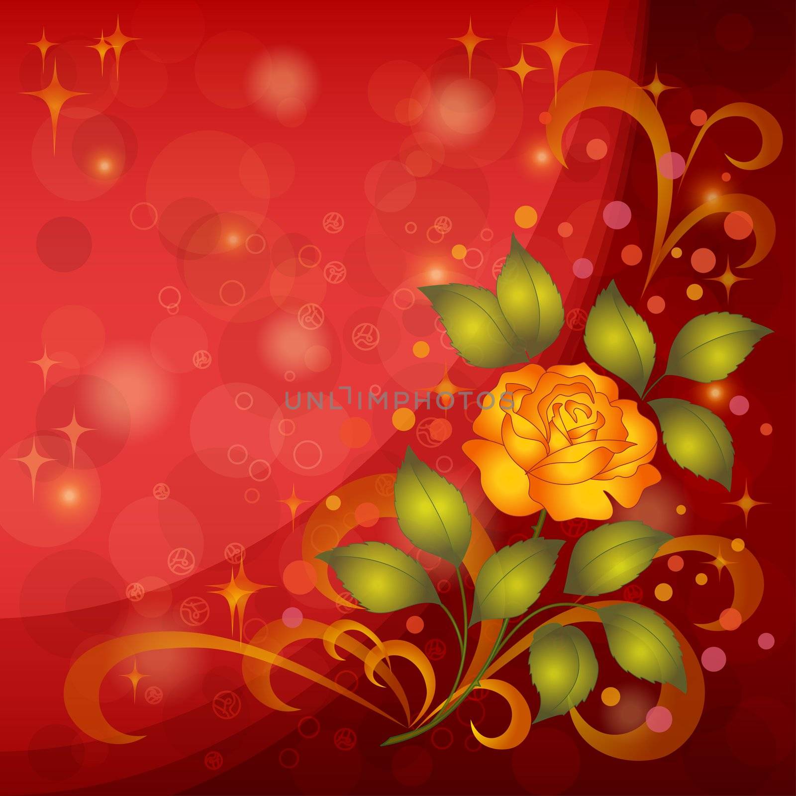 Holiday floral background with flowers rose, stars and circles