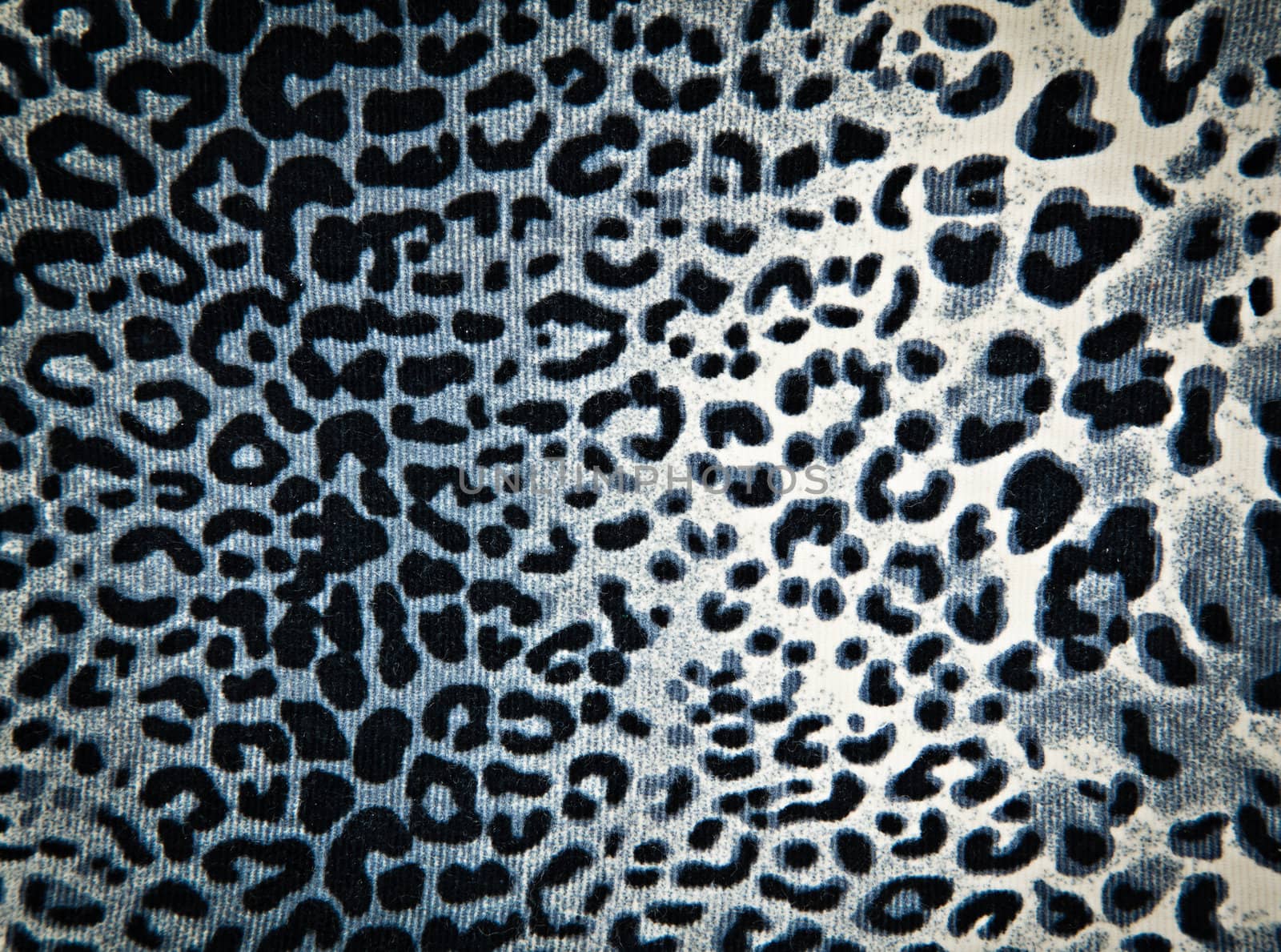 leopard or jaguar pattern background