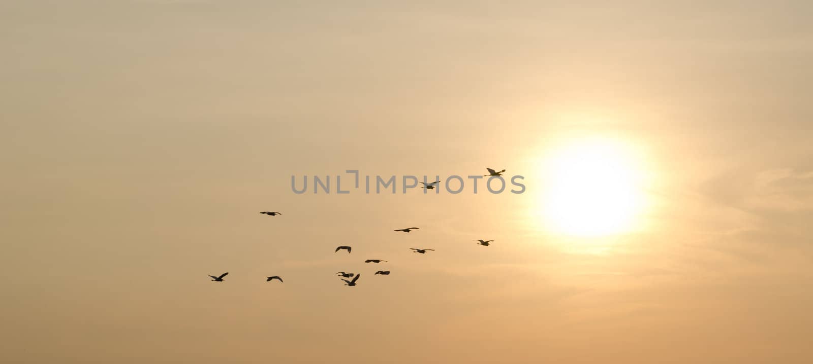 sunset and birds in the sky by hinnamsaisuy