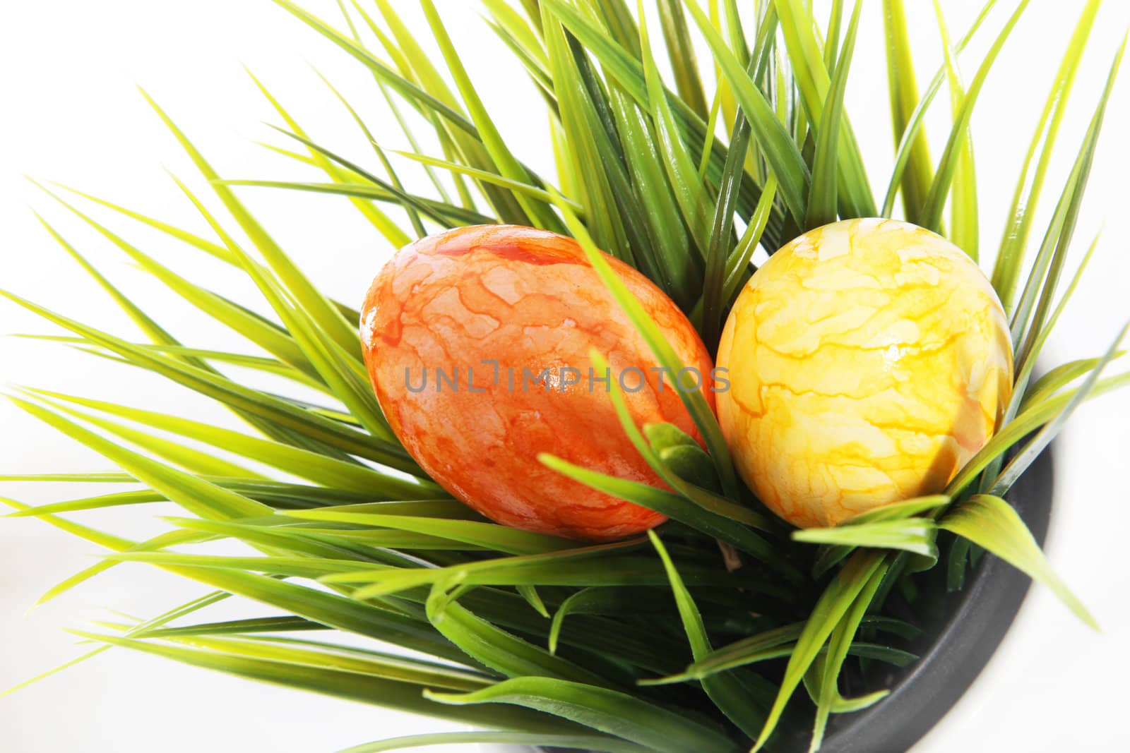 Orange and yellow marbled Easter Eggs nestling on top of a tuft of green grass growing in a pot, high angle view isolated on white