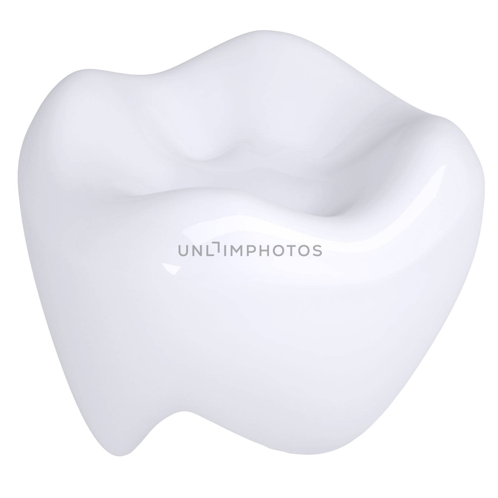 White tooth. Isolated render on a white background