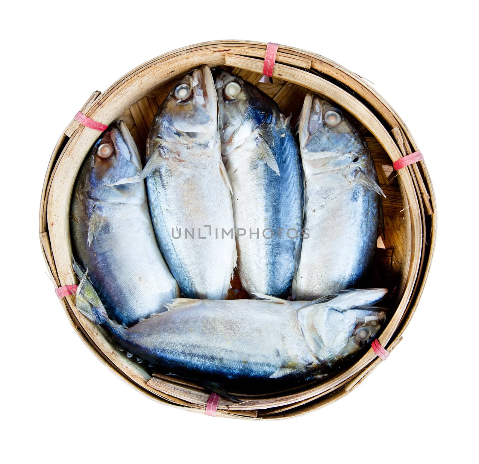 Mackerel fish in bamboo basket