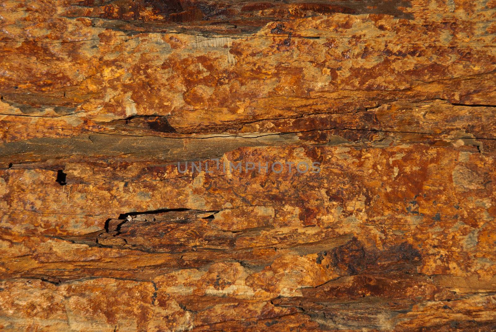 Background texture of earthy colored shale stone