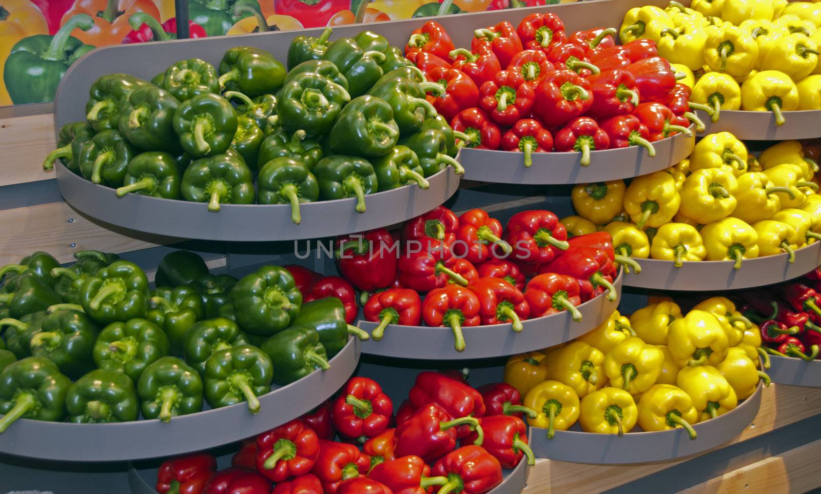 green red and yellow paprika on the floriade 