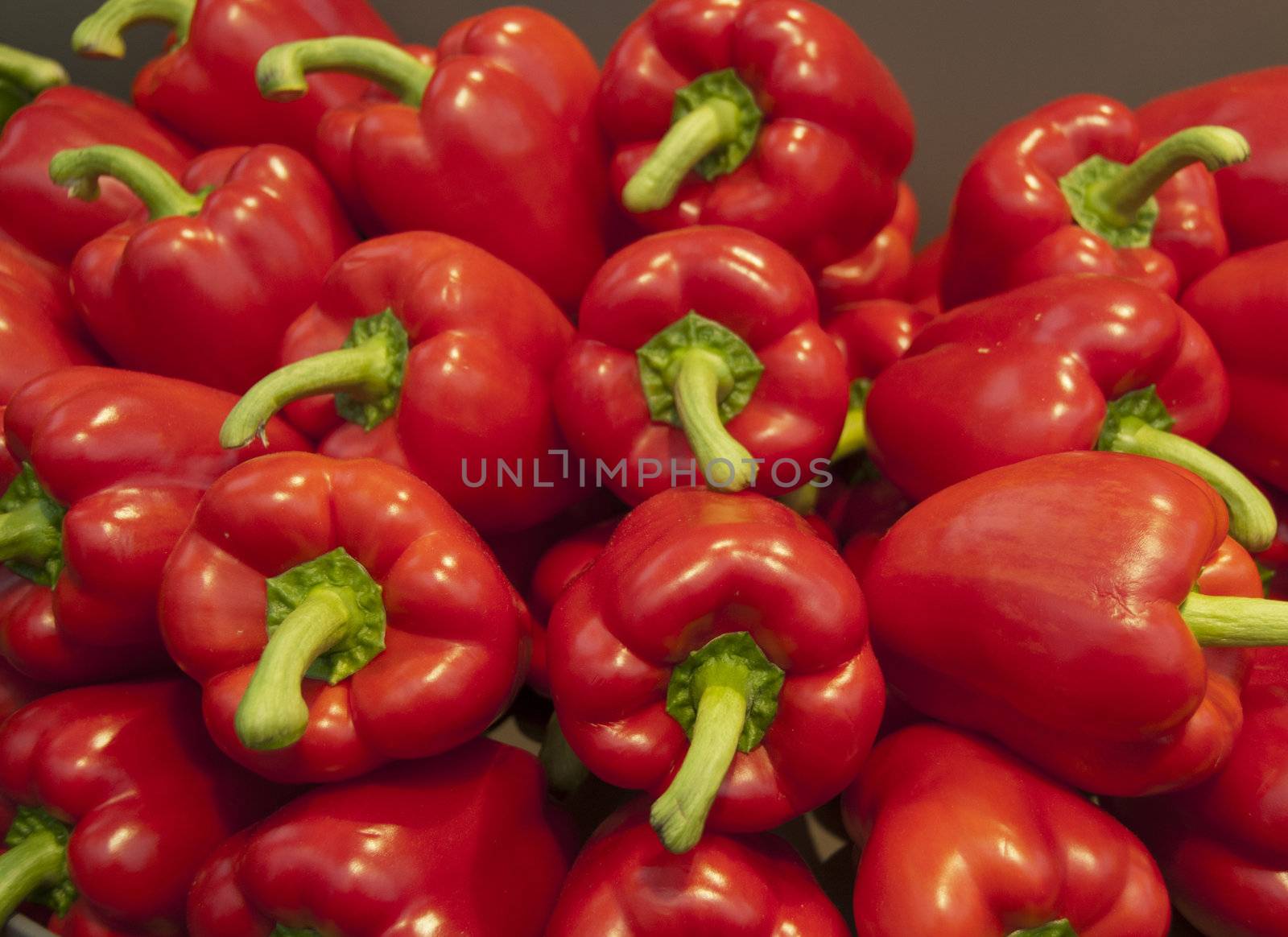 red paprika on the floriade show 2012 holland