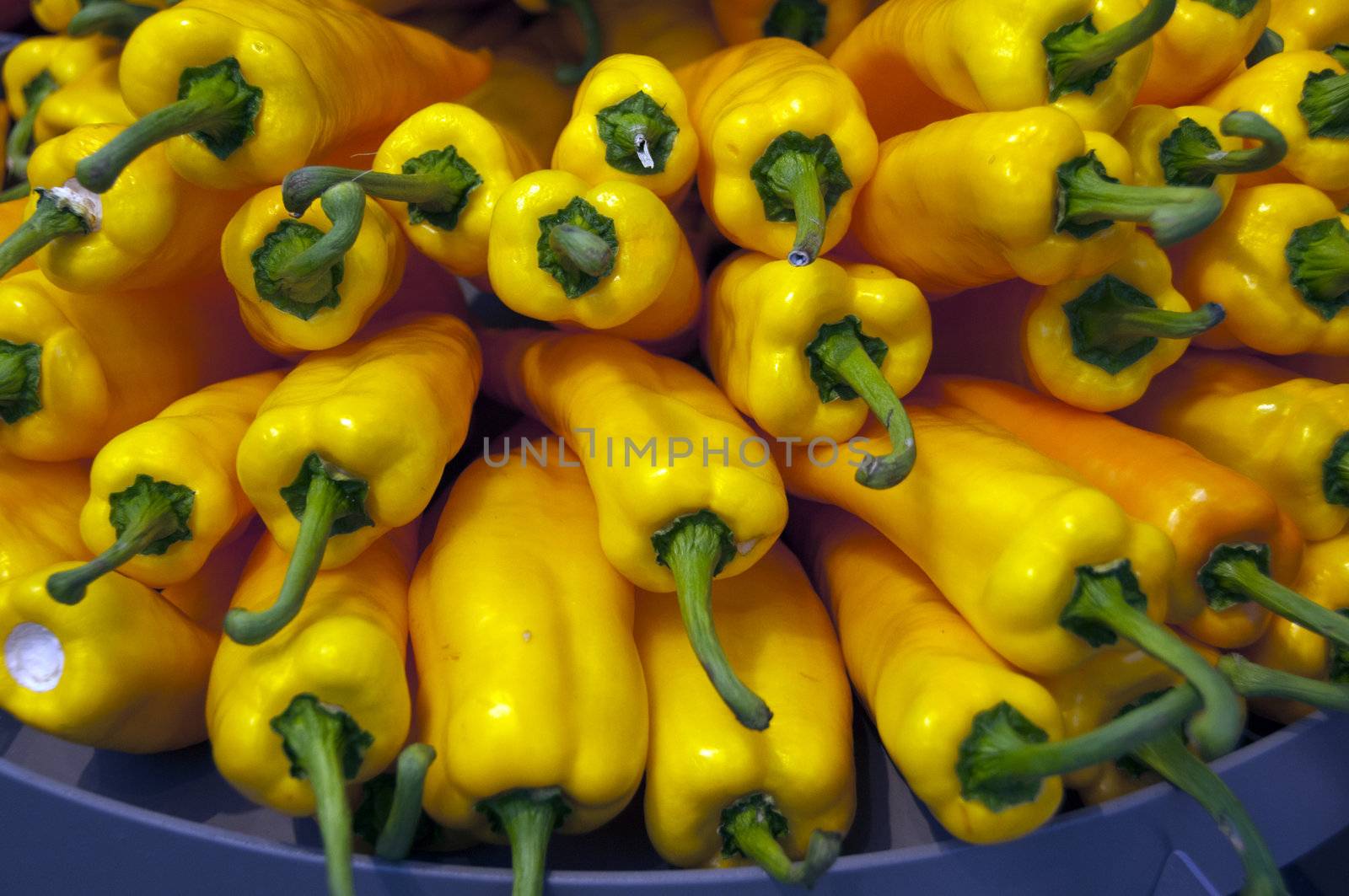 yellow paprika on the floriade show 2012 in Holland