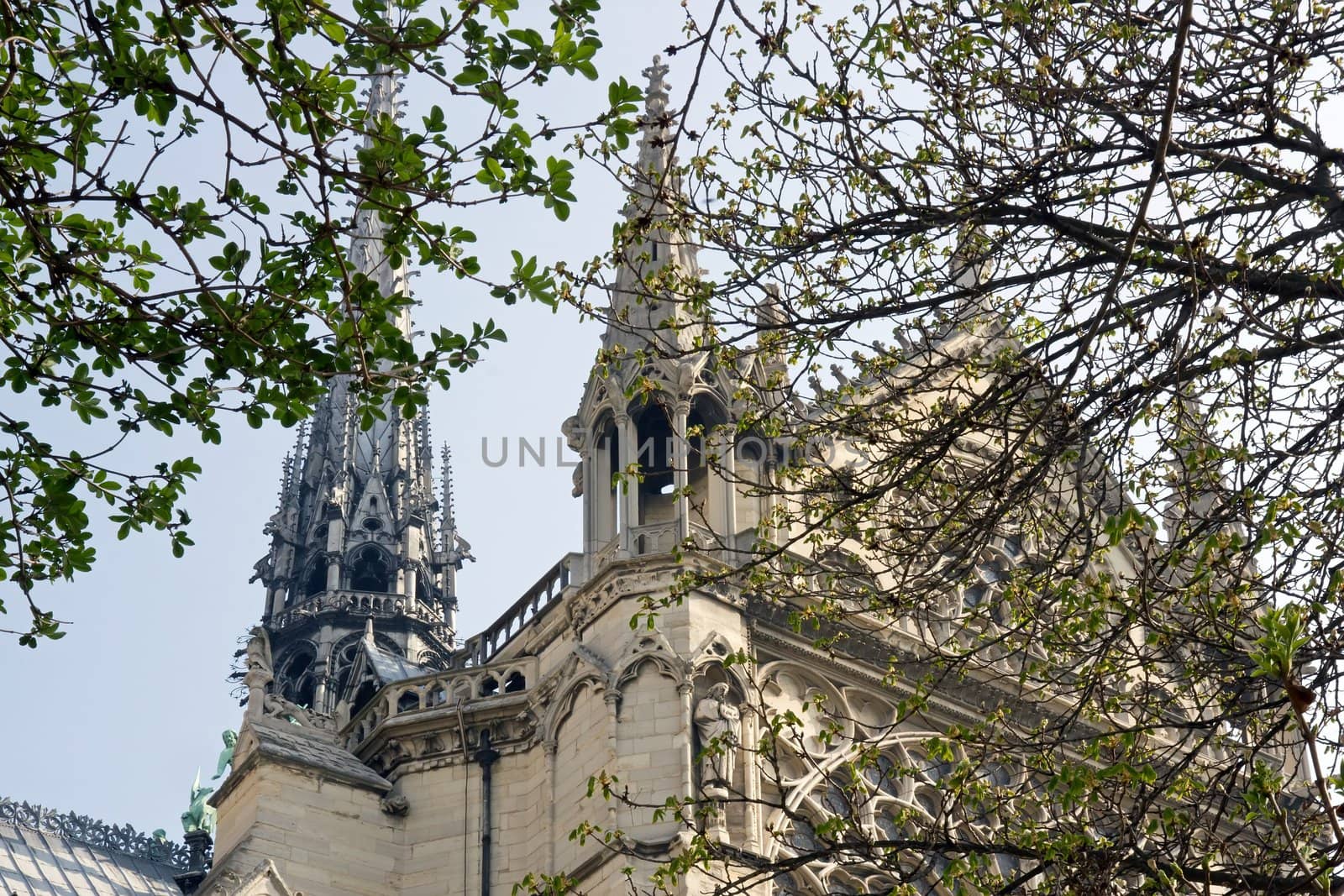 spring at Notre Dame de Paris  France