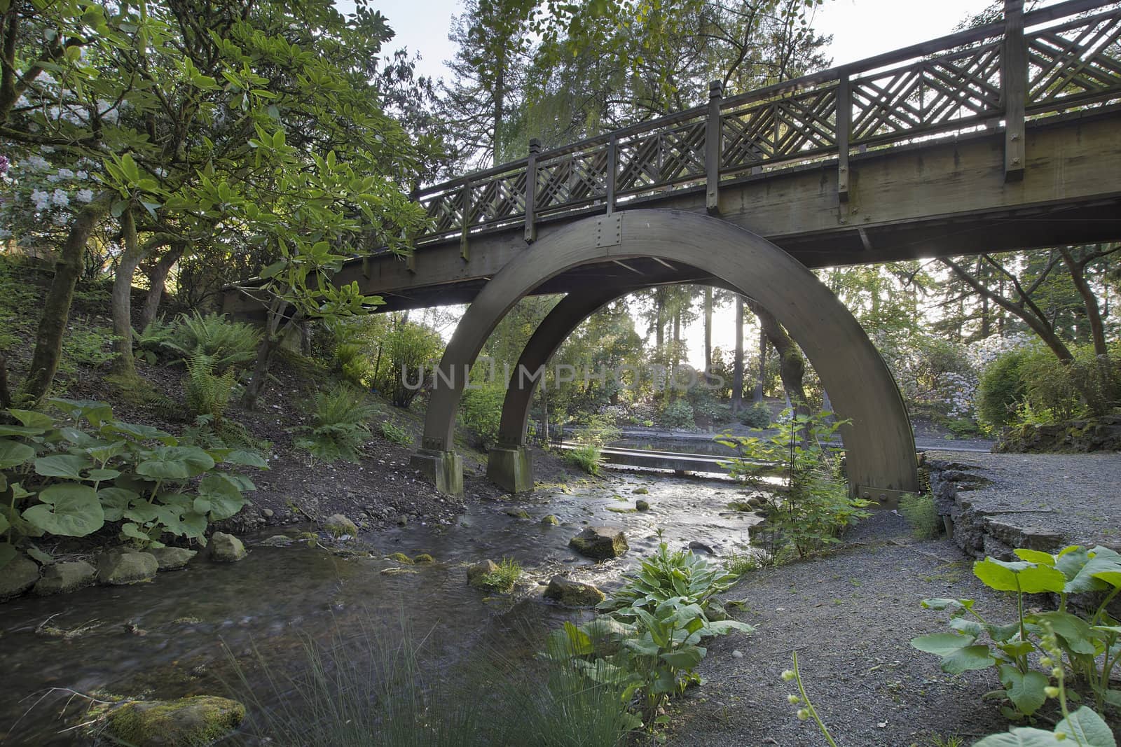 Wooden Bridge Over Stream in Crystal Springs Rhododendron Garden in Oregon