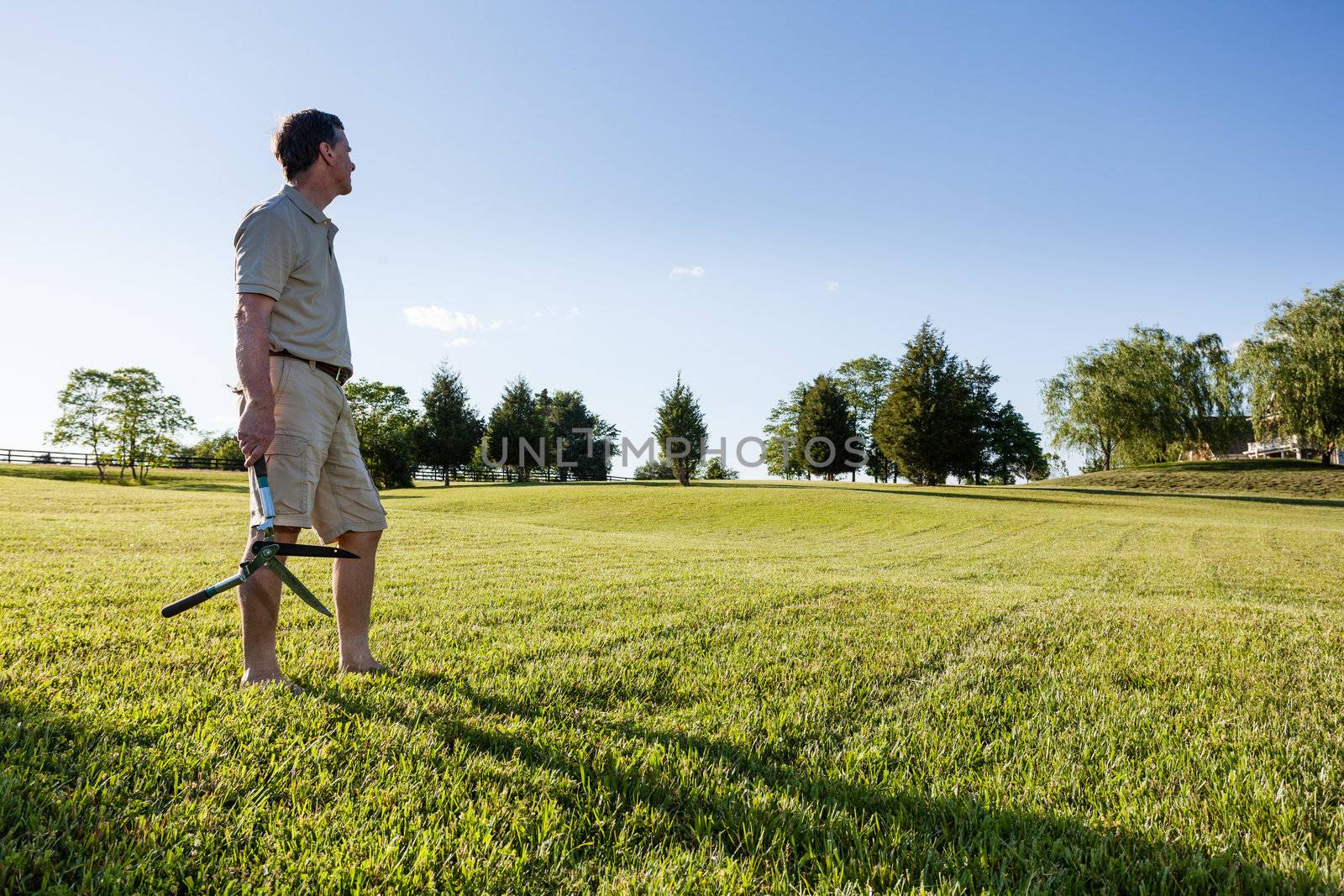 Challenging task of cutting large lawn with grass shears by hand