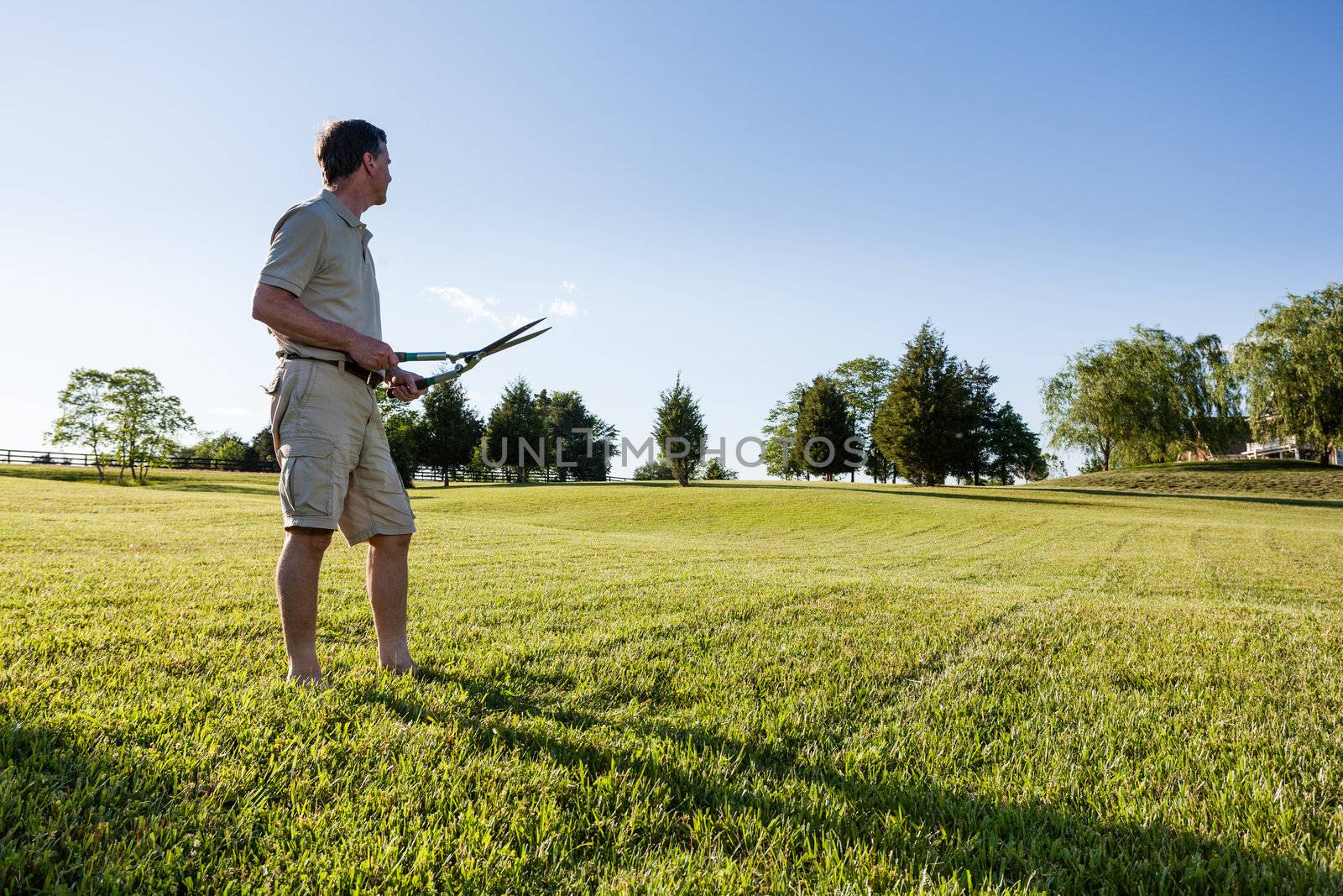 Challenging task of cutting large lawn with grass shears by hand