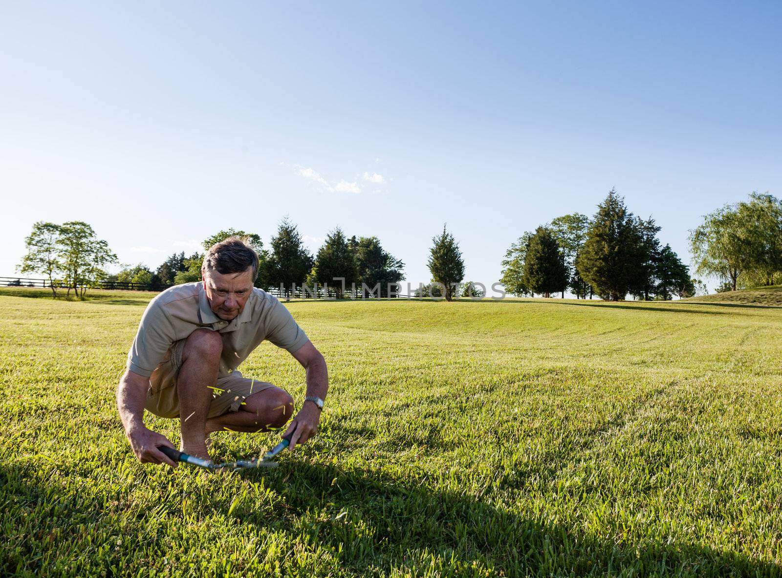 Challenging task of cutting large lawn with grass shears by hand