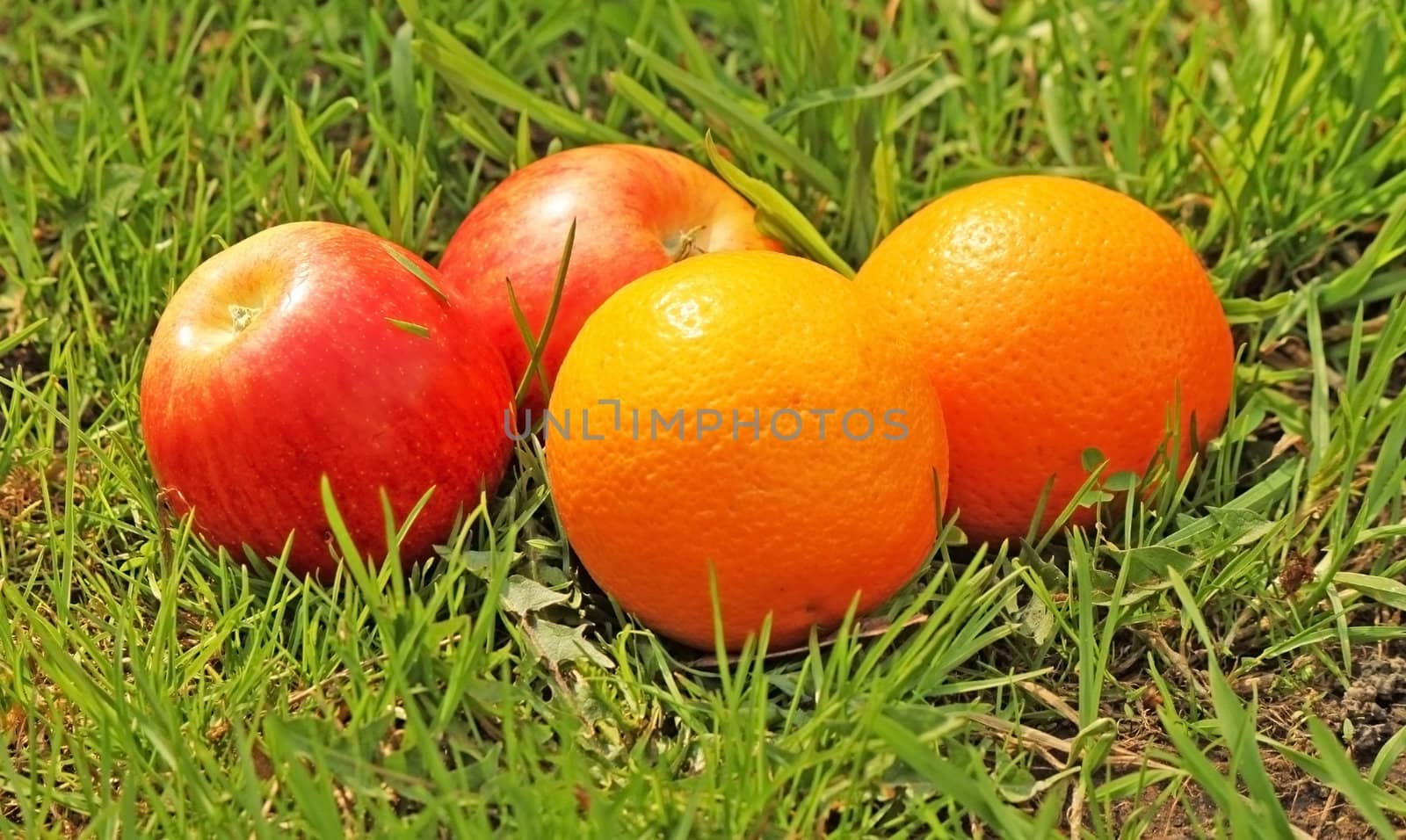 Apples and oranges in the green grass