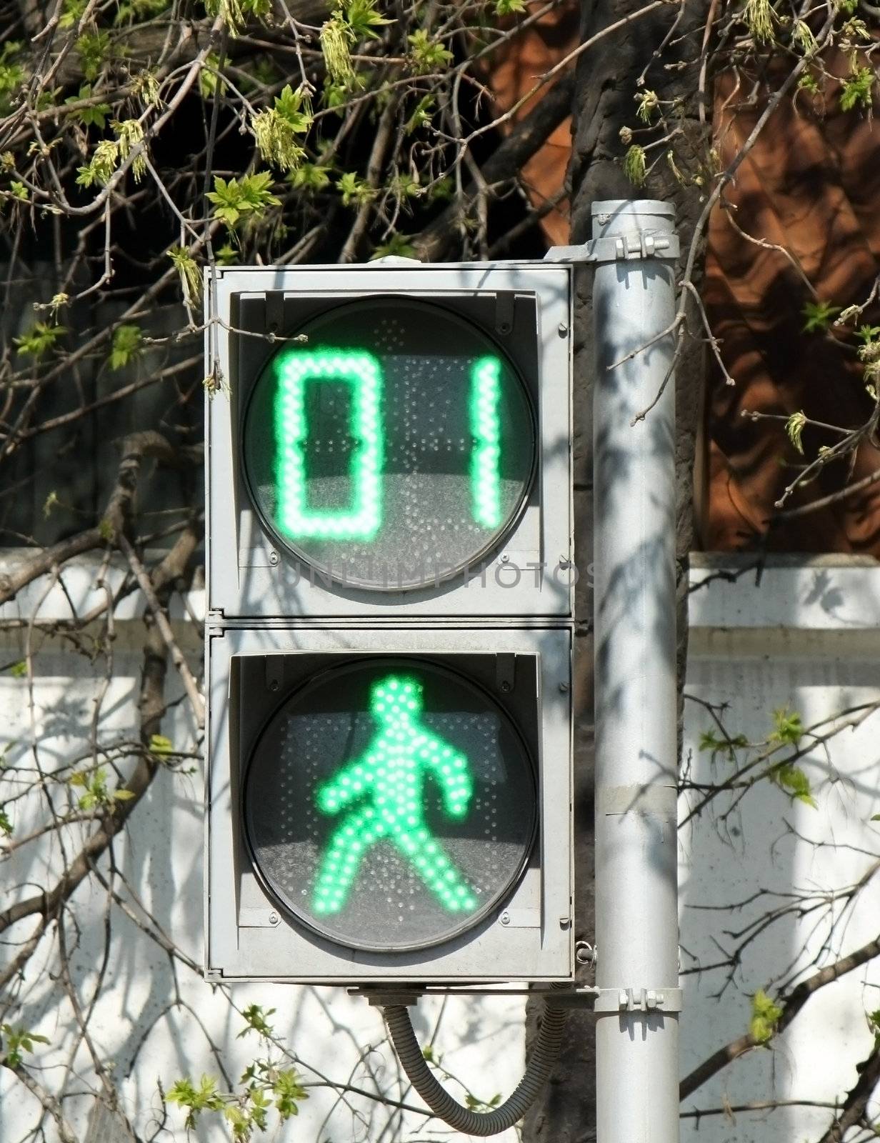 Pedestrian traffic light with one second left