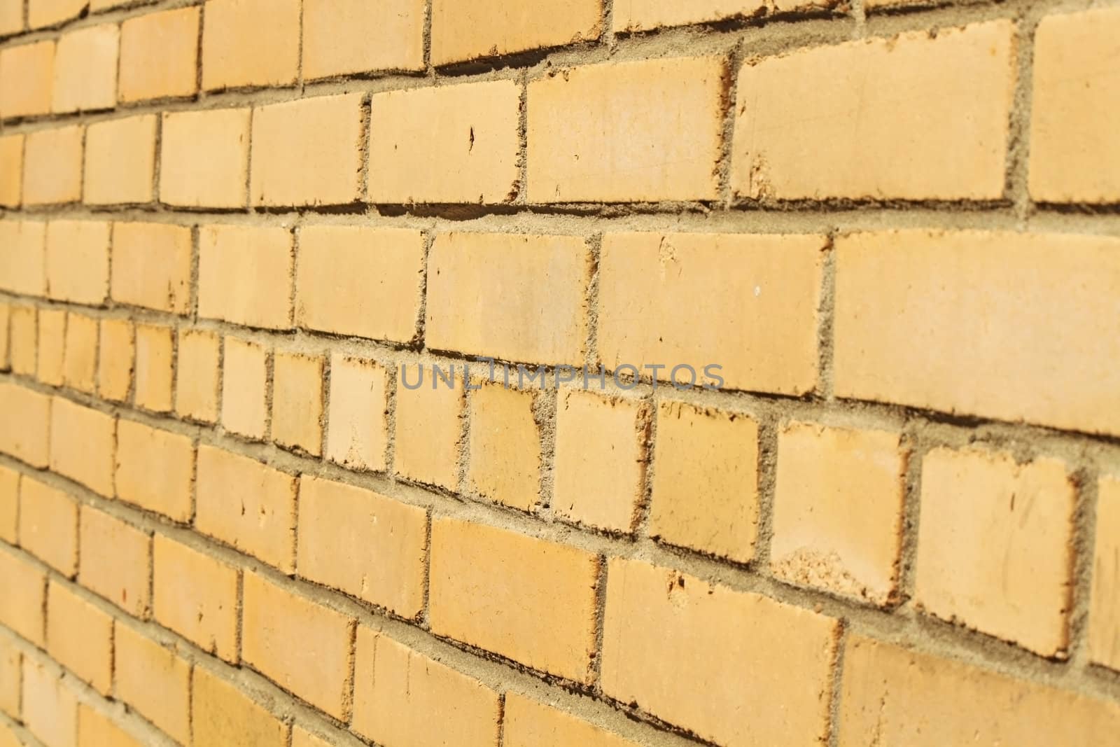 Just yellow brick wall, nothing else