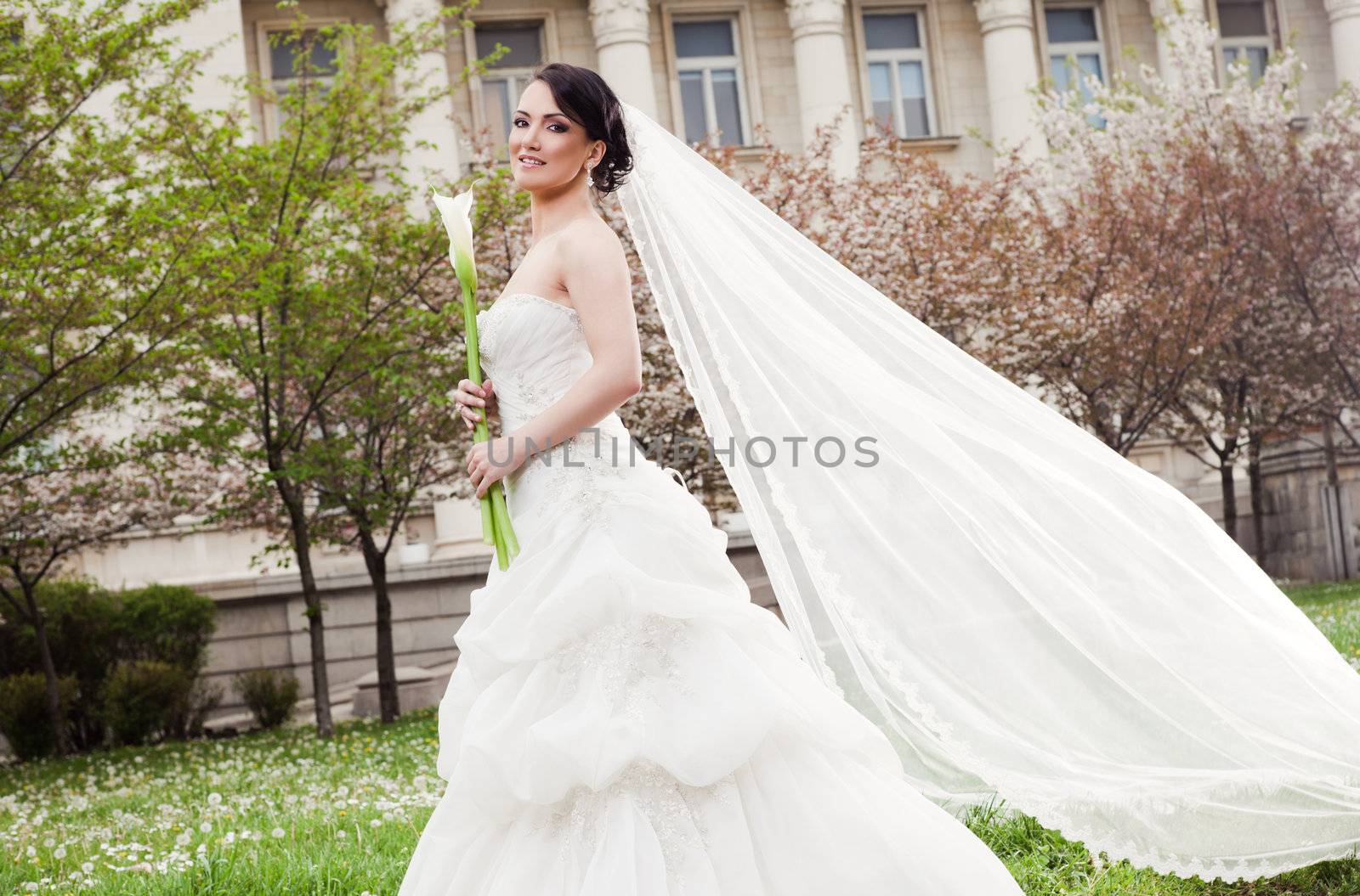 Happy bride with wedding dress and long veil holding white calla lilly