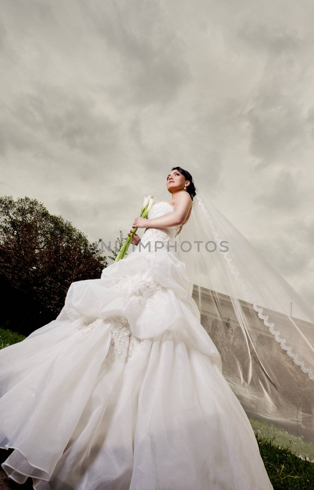 Bride with long veil standing outdoors, cloudy sky behind