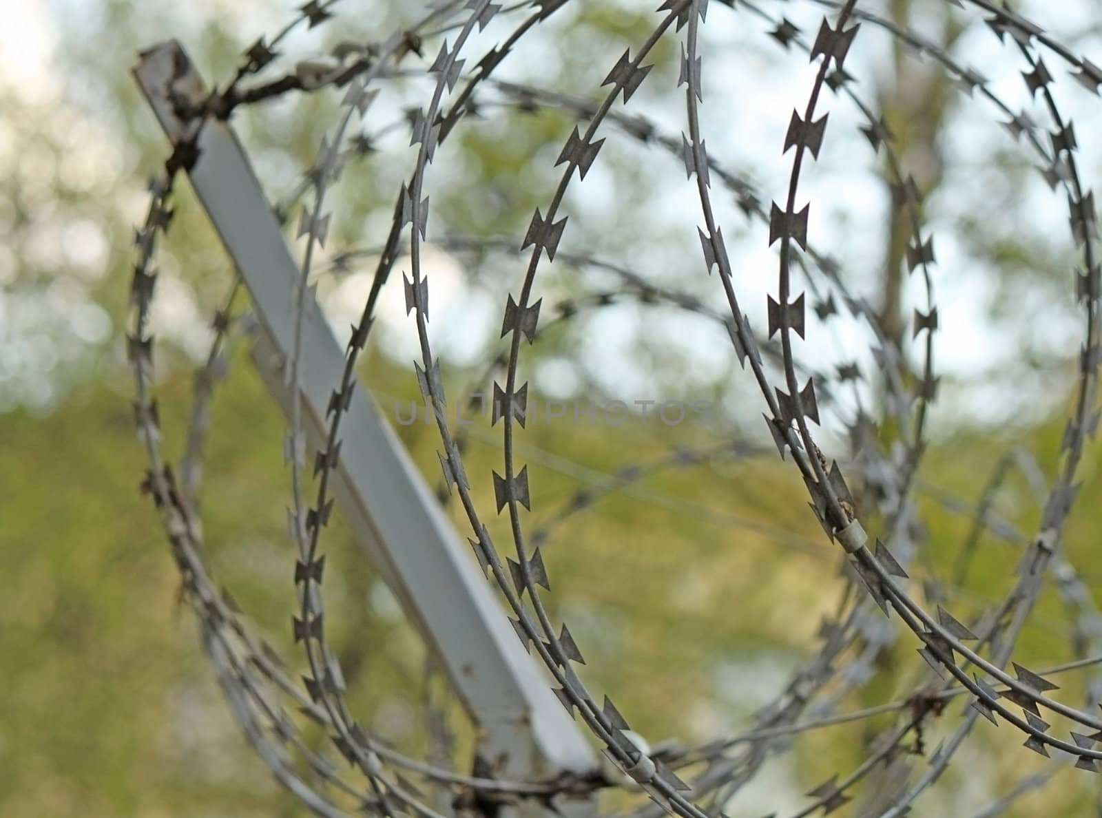 A steel barbed wire under the sunlight