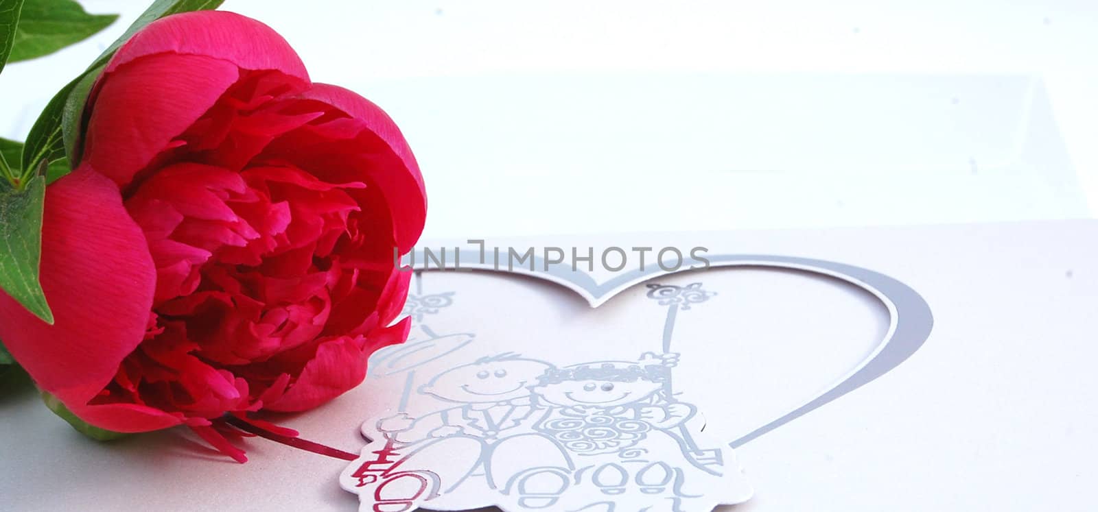 Lilac flower,red, on a wedding card