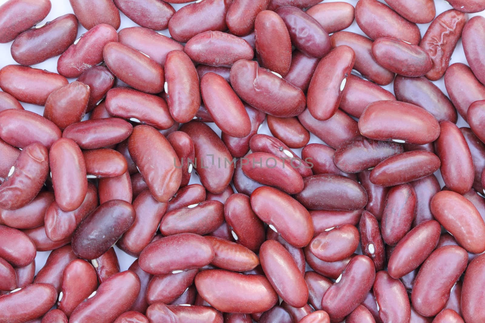 Close up red kidney bean use for background