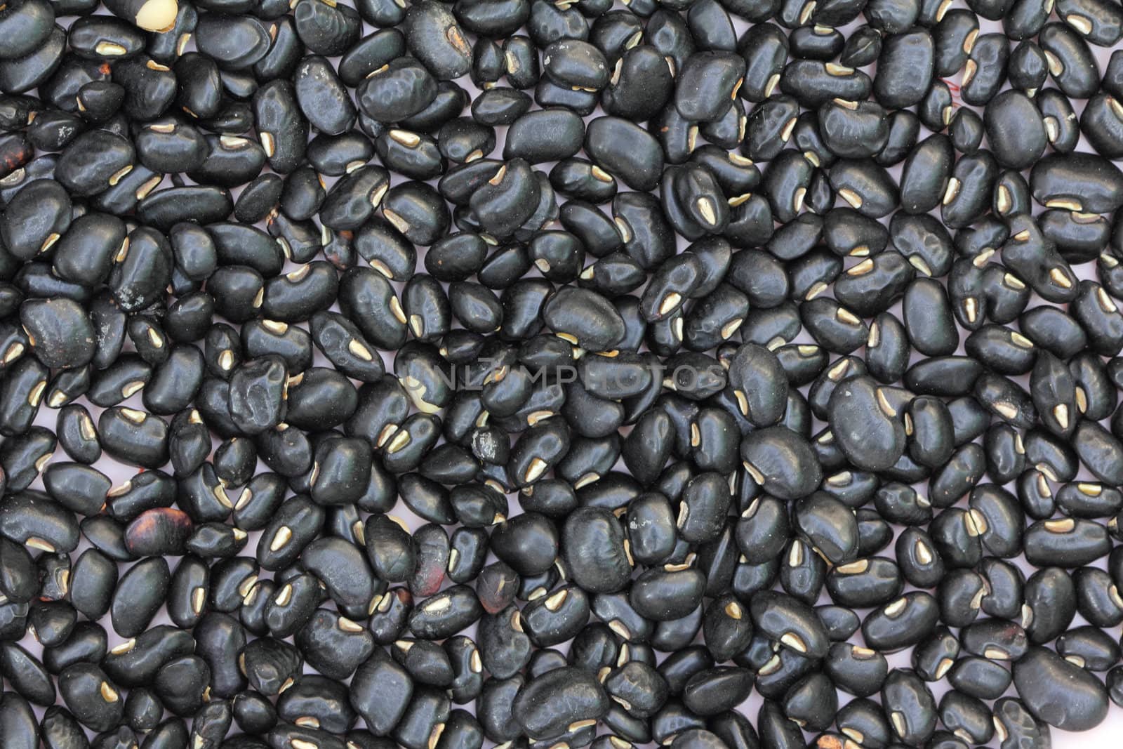 Black bean background