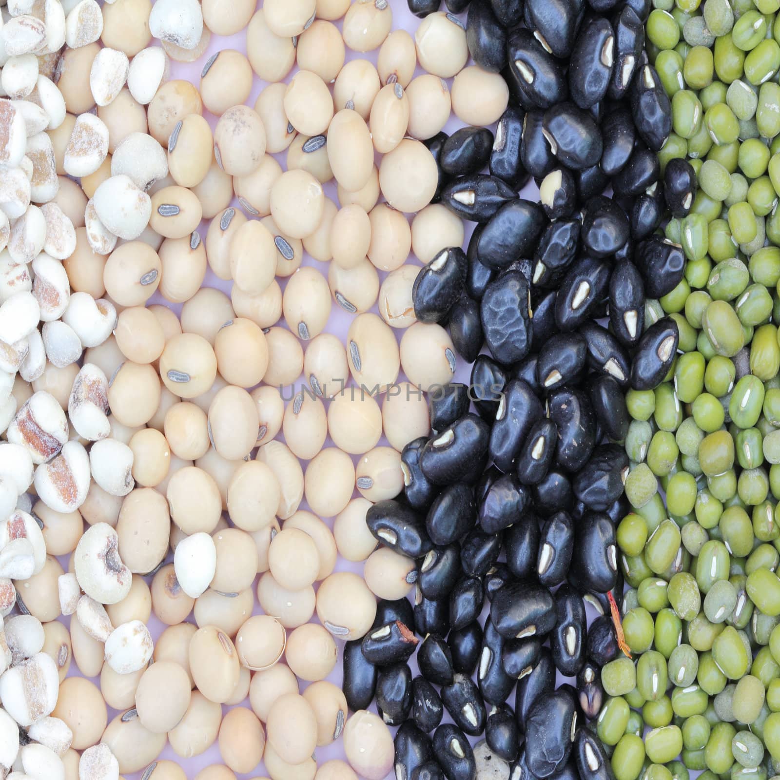varieties of beans, Joy tear, Soy bean, Black bean, Mung bean