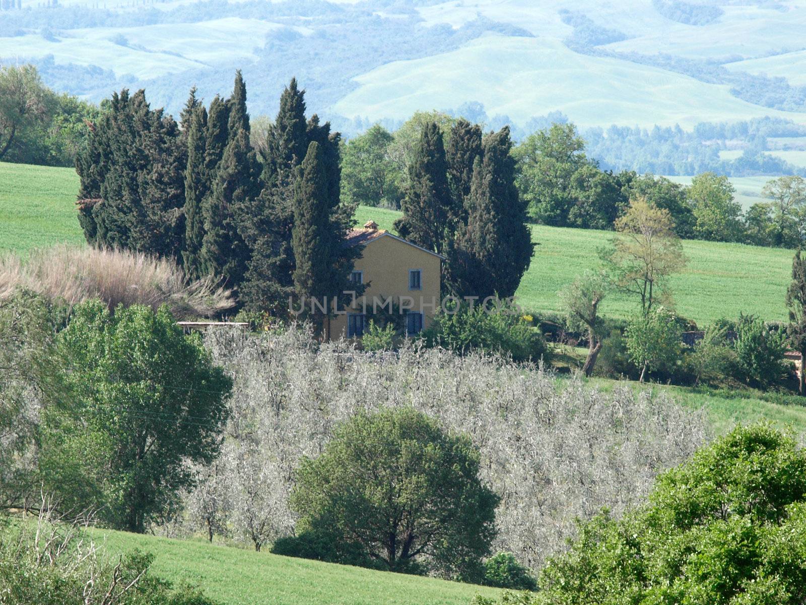 The landscape of the Val d’Orcia. Tuscany. Italiy by wjarek