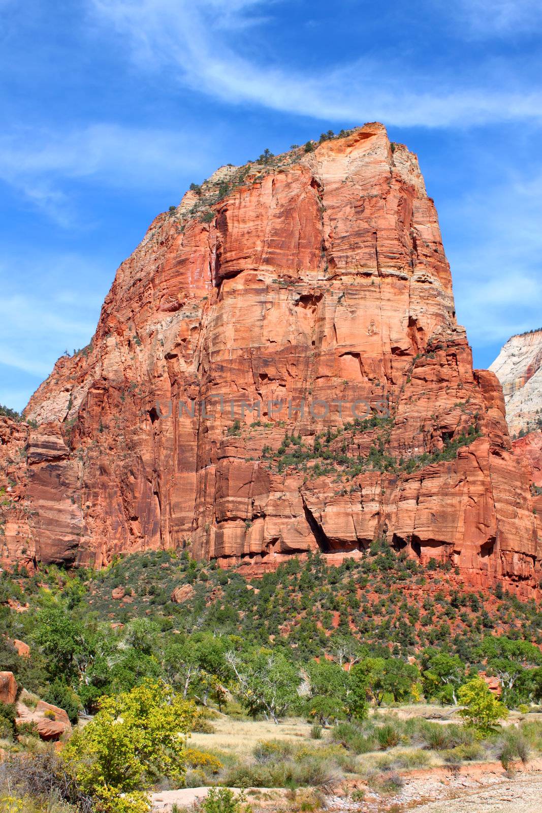 The prominent mountain Angels Landing in Zion National Park of Utah.