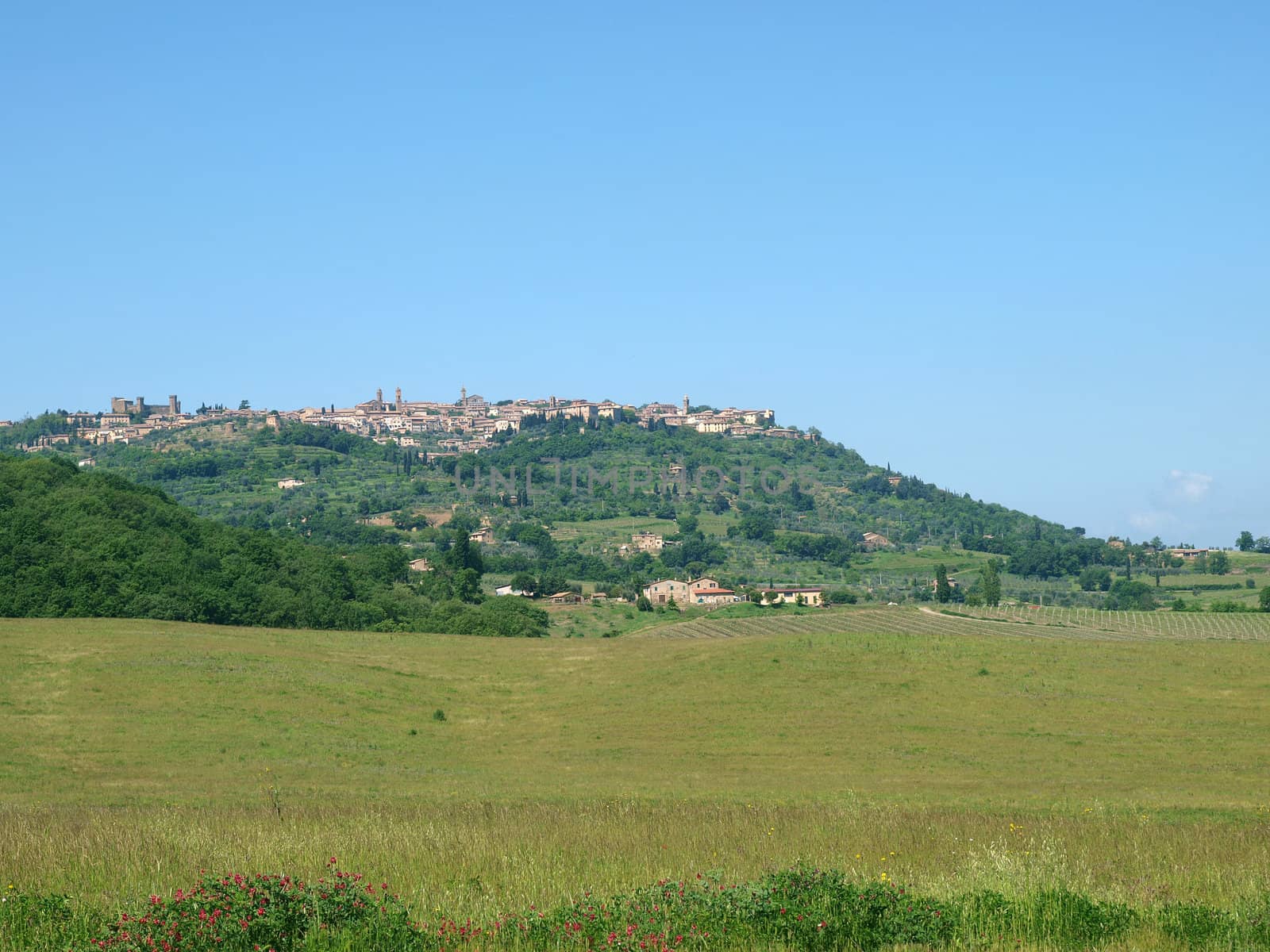 Overview of Montalcino in Tuscany, Italy.