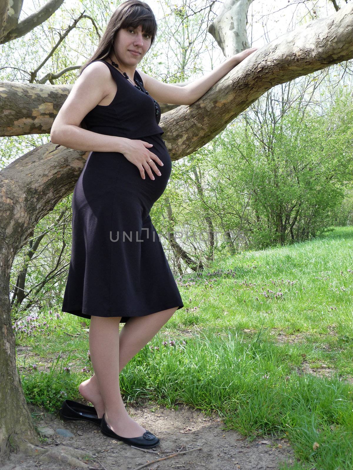 Pregnant, mom, wife, replenishment, baby, expecting mothers, parents, life, a great mother, belly, pregnancy