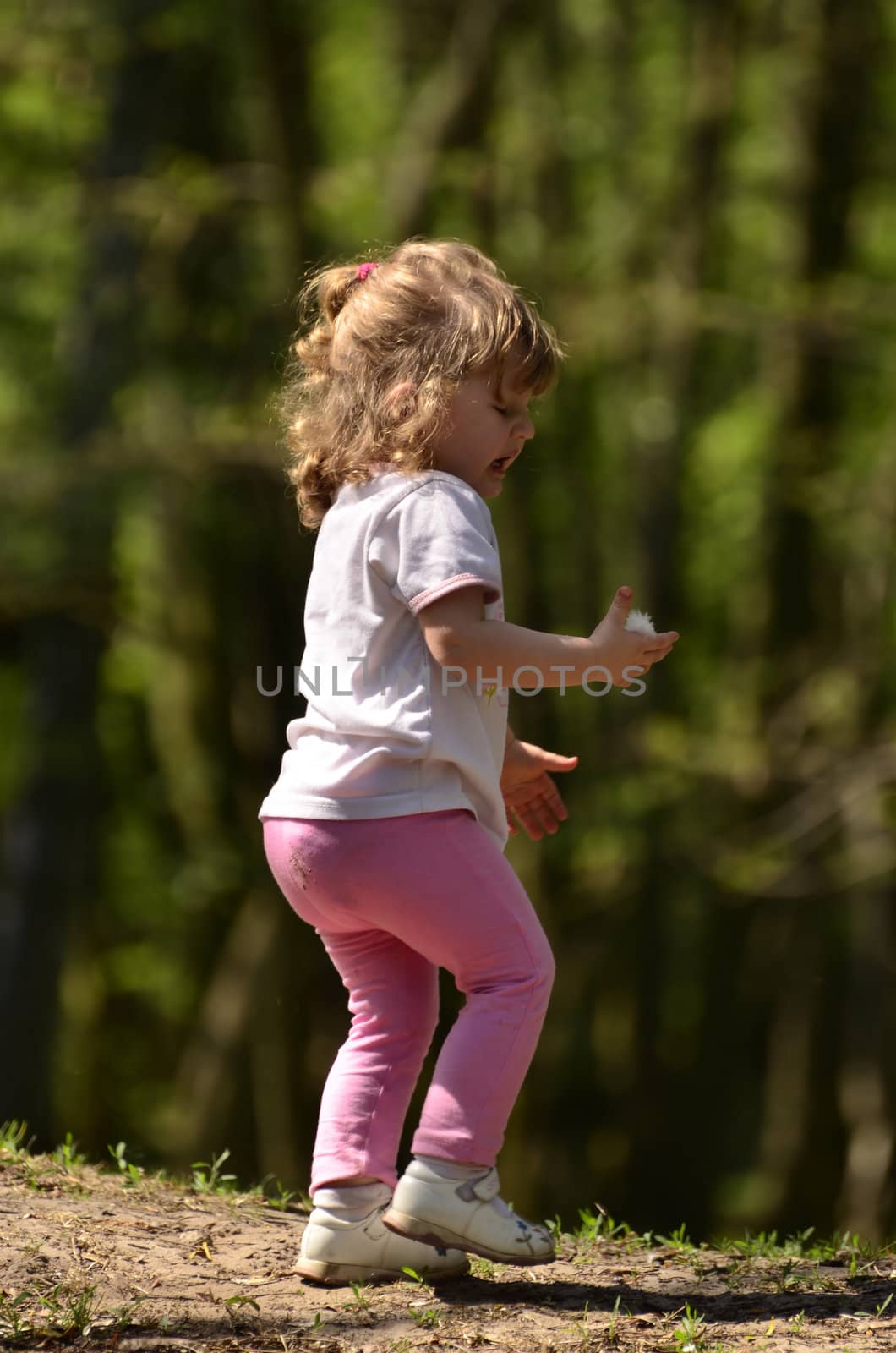 Photo shows the little girl who found bird feathers and the terrified. (2)