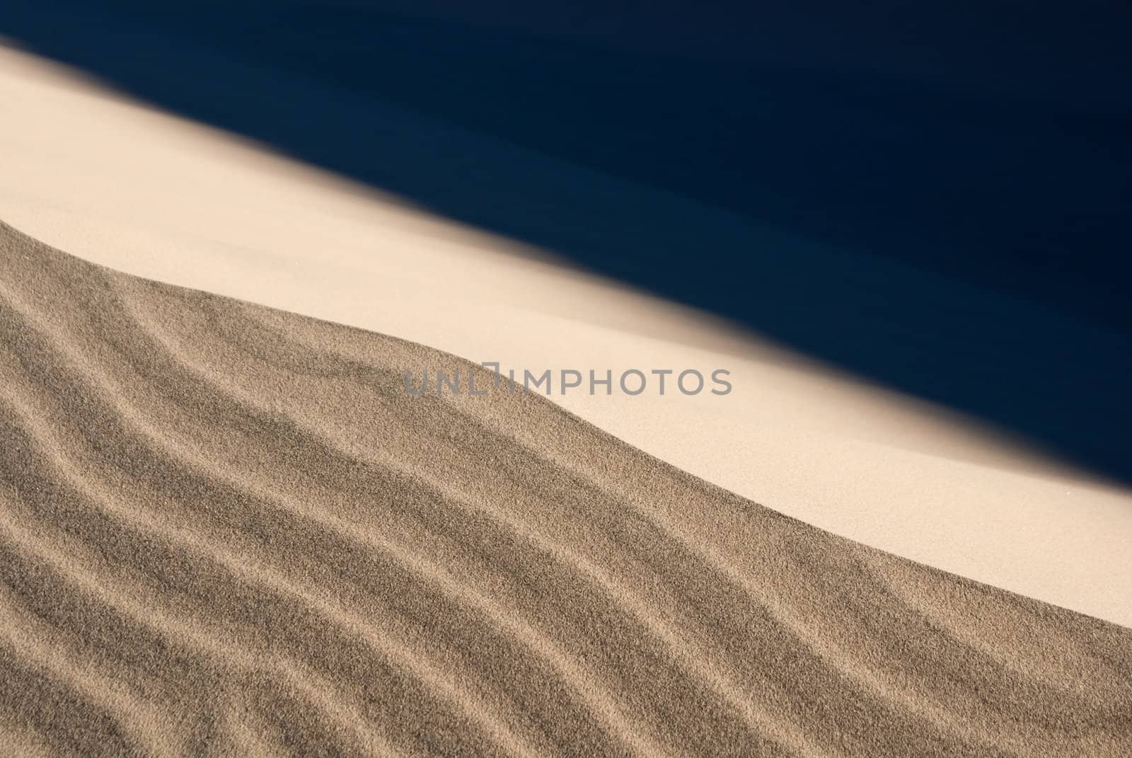 Stormy winds blow the fine sand on desert dunes