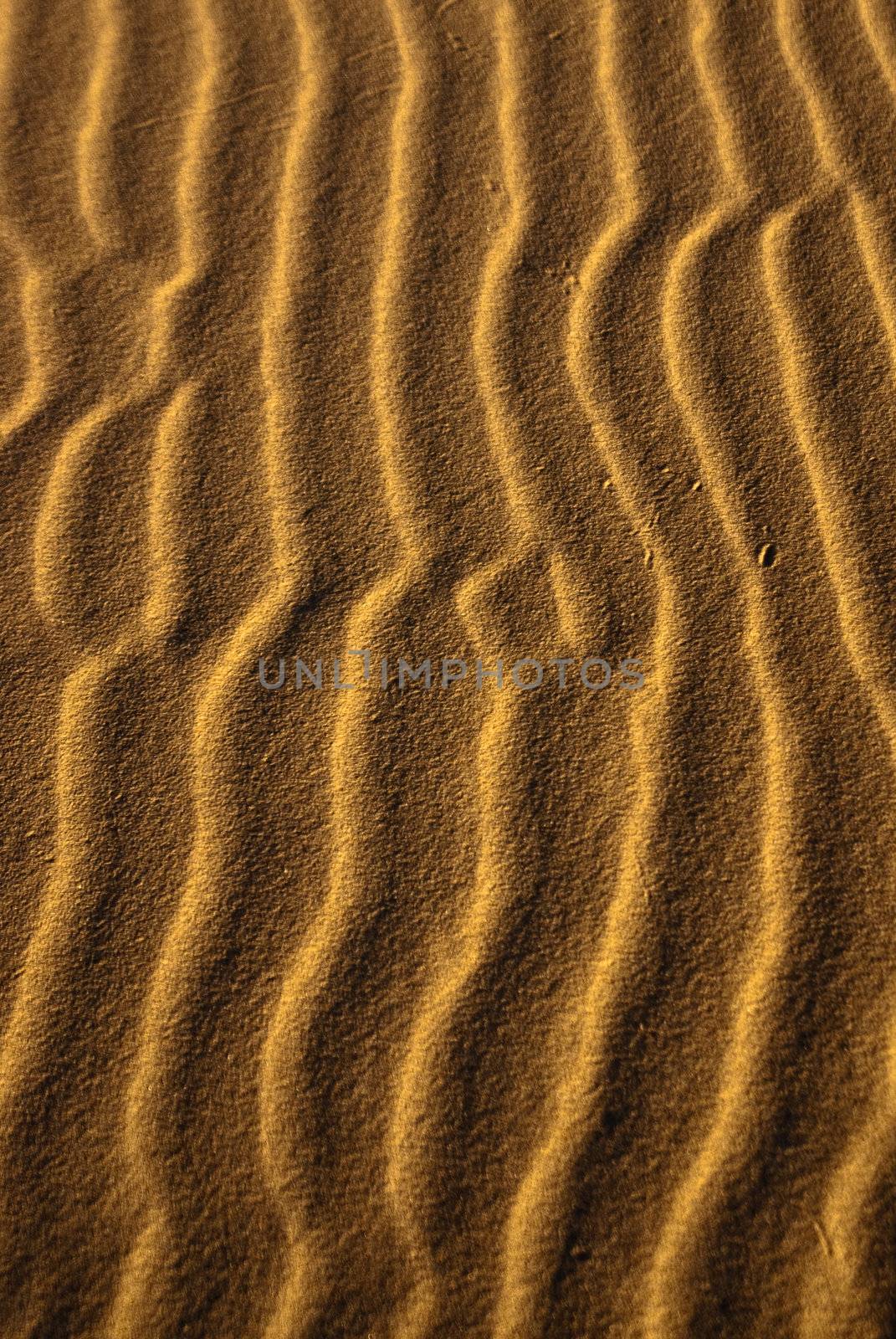 Sand Snakes by emattil