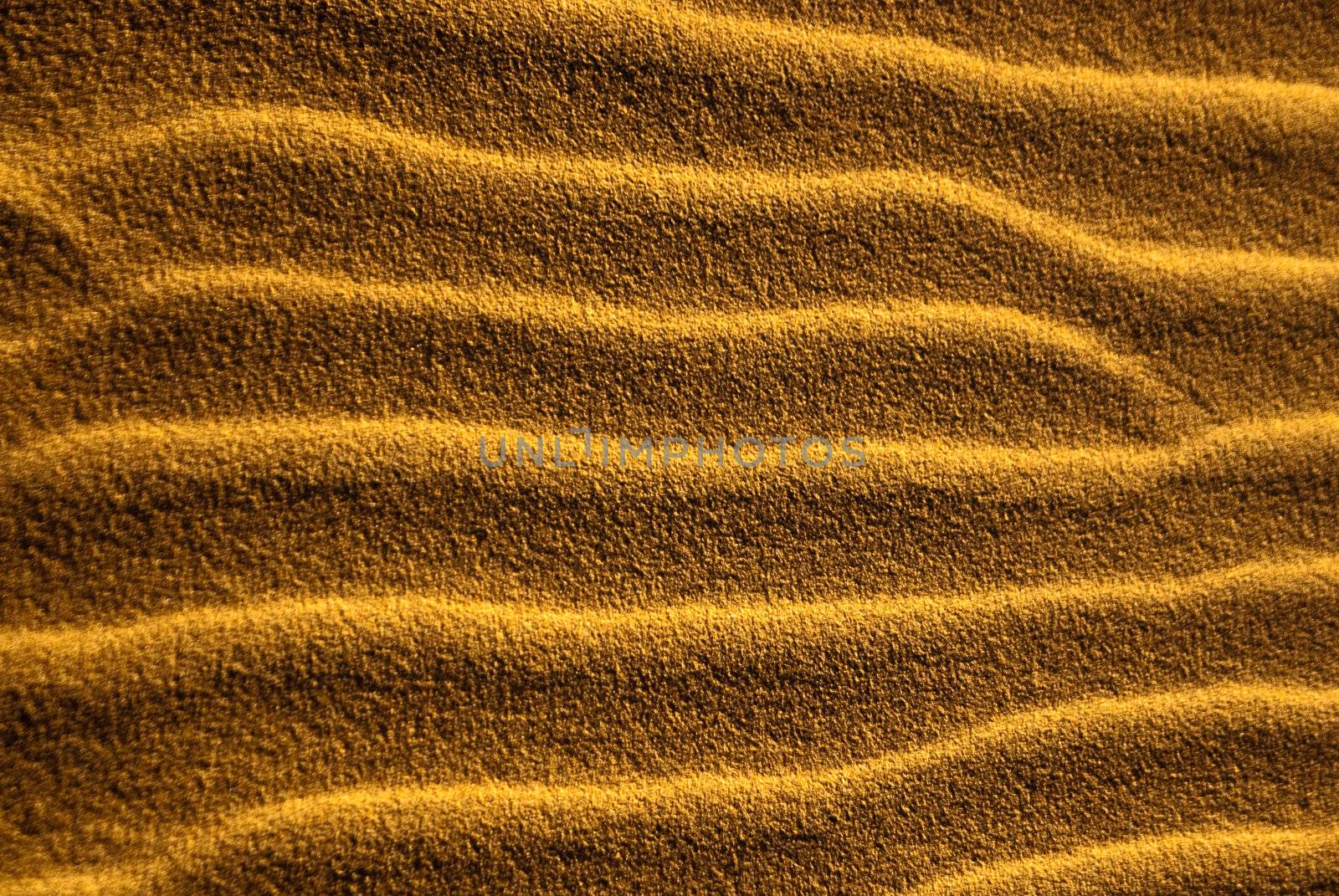 Desert sand ripples form sidewinder trails