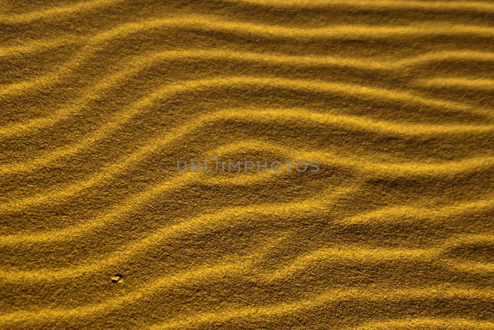Desert sand ripples form sidewinder trails