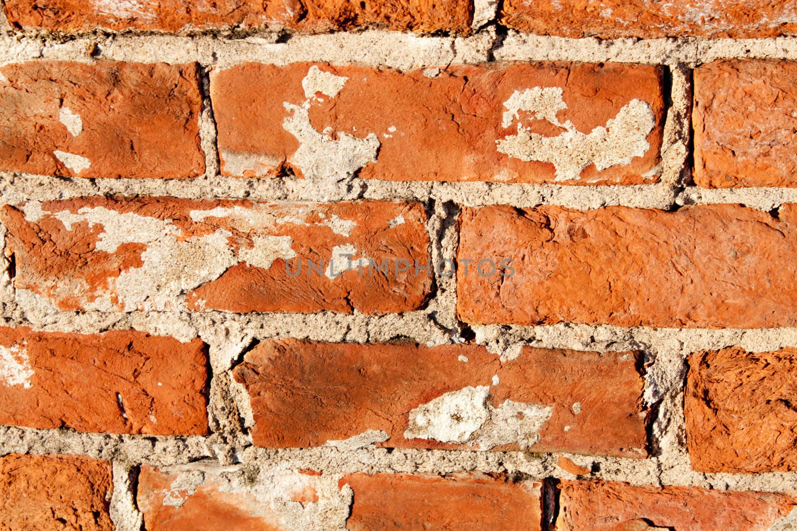 Texture of a brick wall