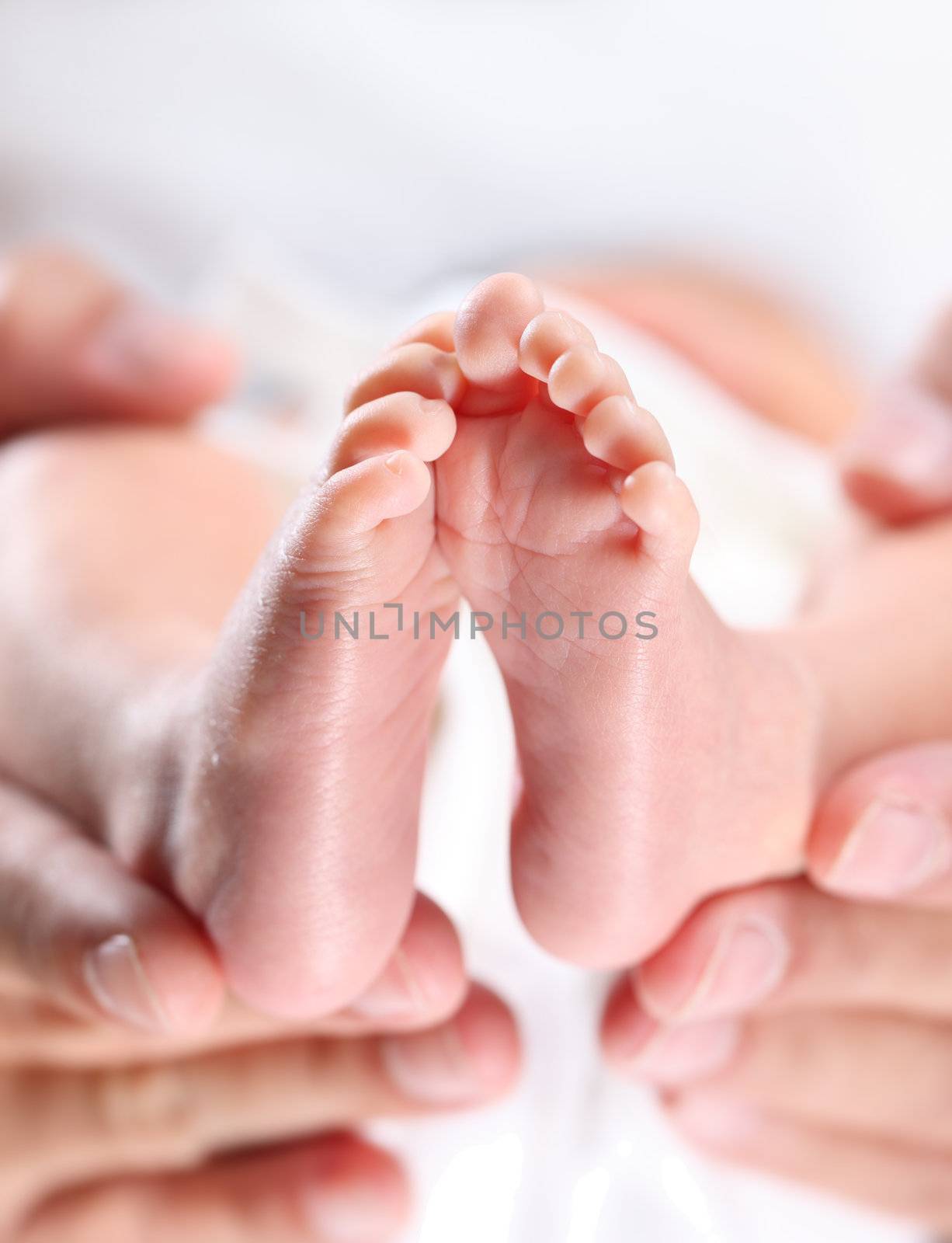 A parent's hands tenderly hold their newborn's feet