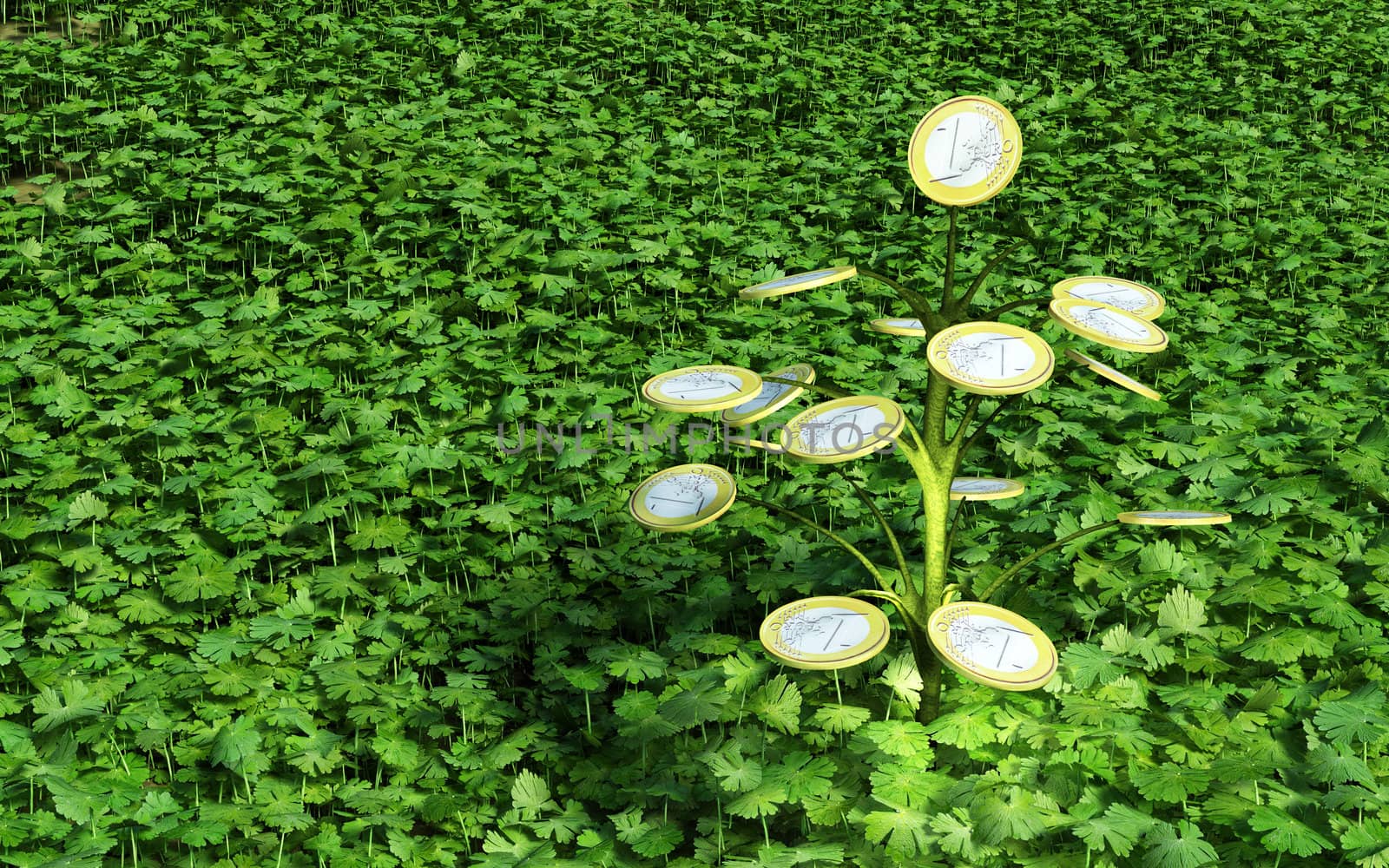 A little tree with one euro coin instead of leaves, in the middle of a green grass meadow